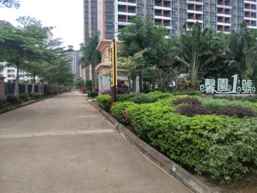 实景图