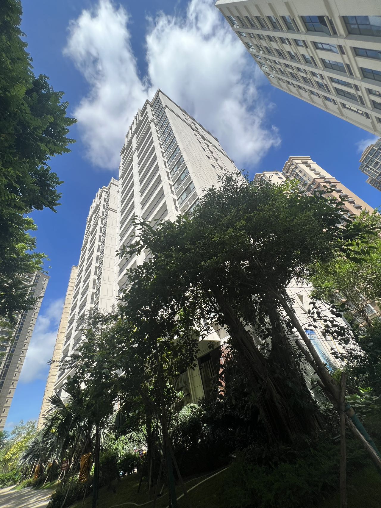 实景图