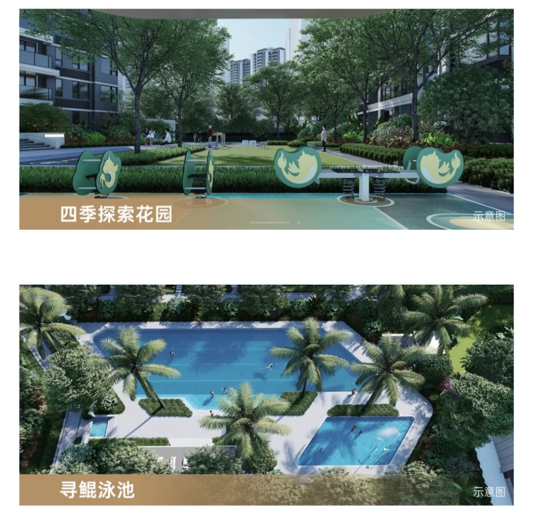 效果图