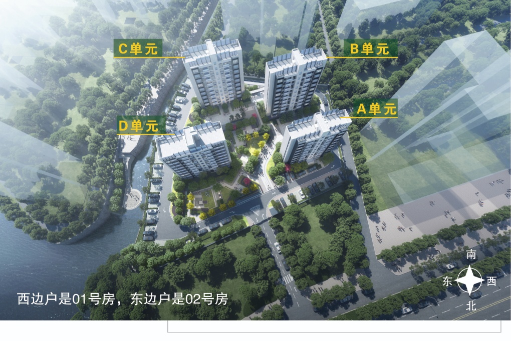 效果图