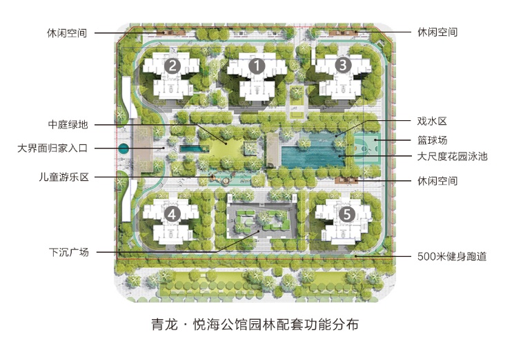 效果图