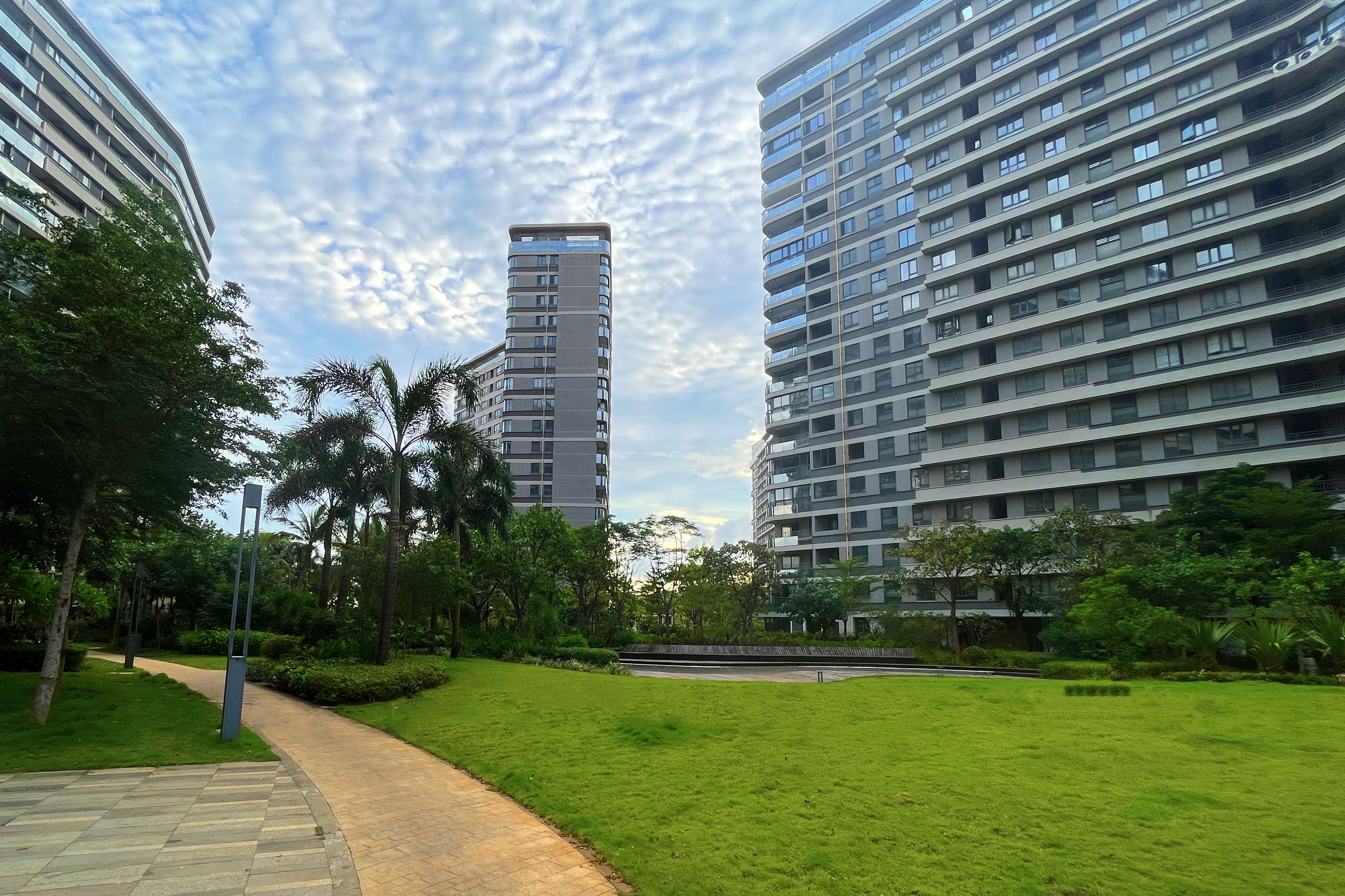 实景图