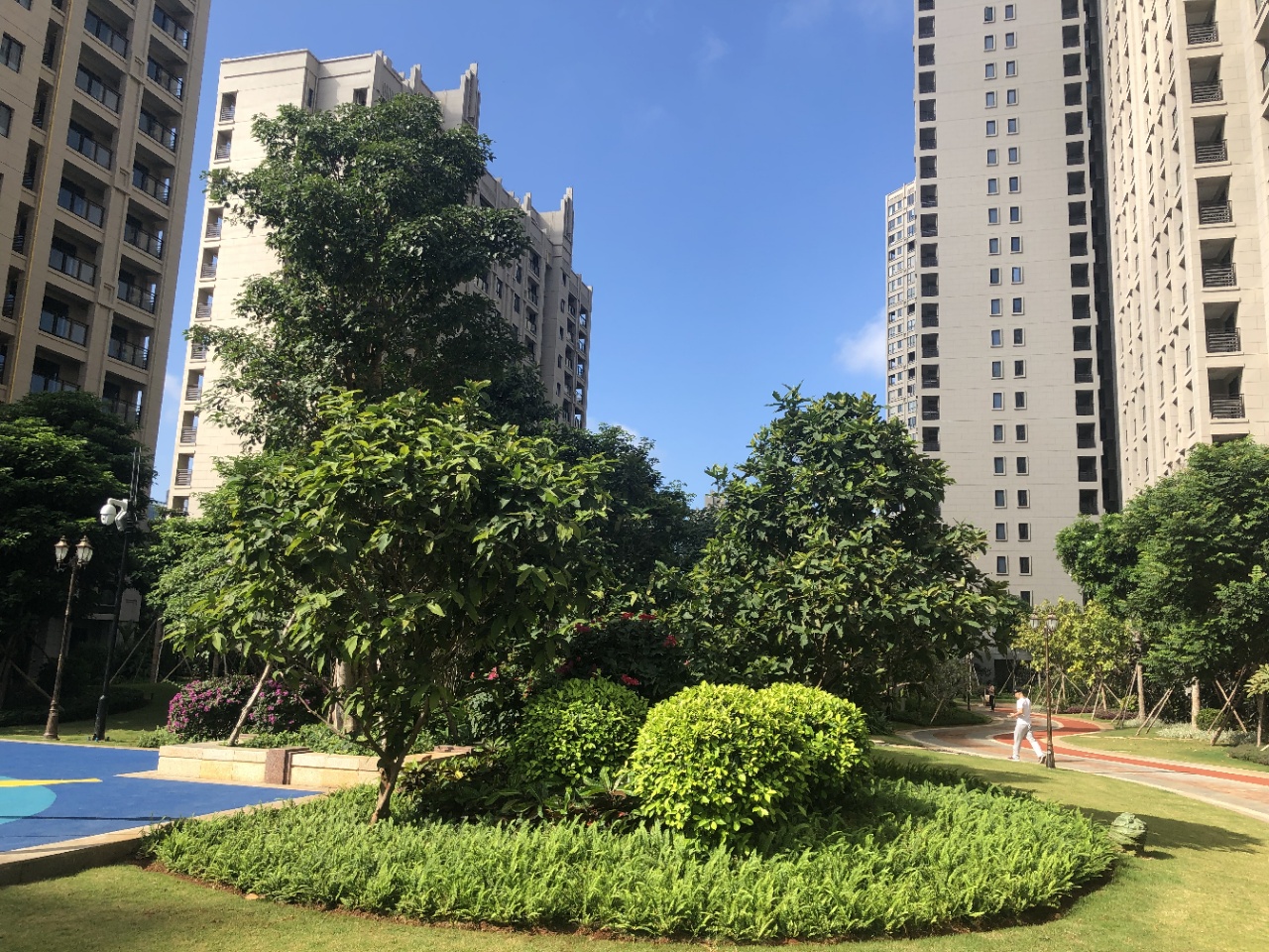 实景图
