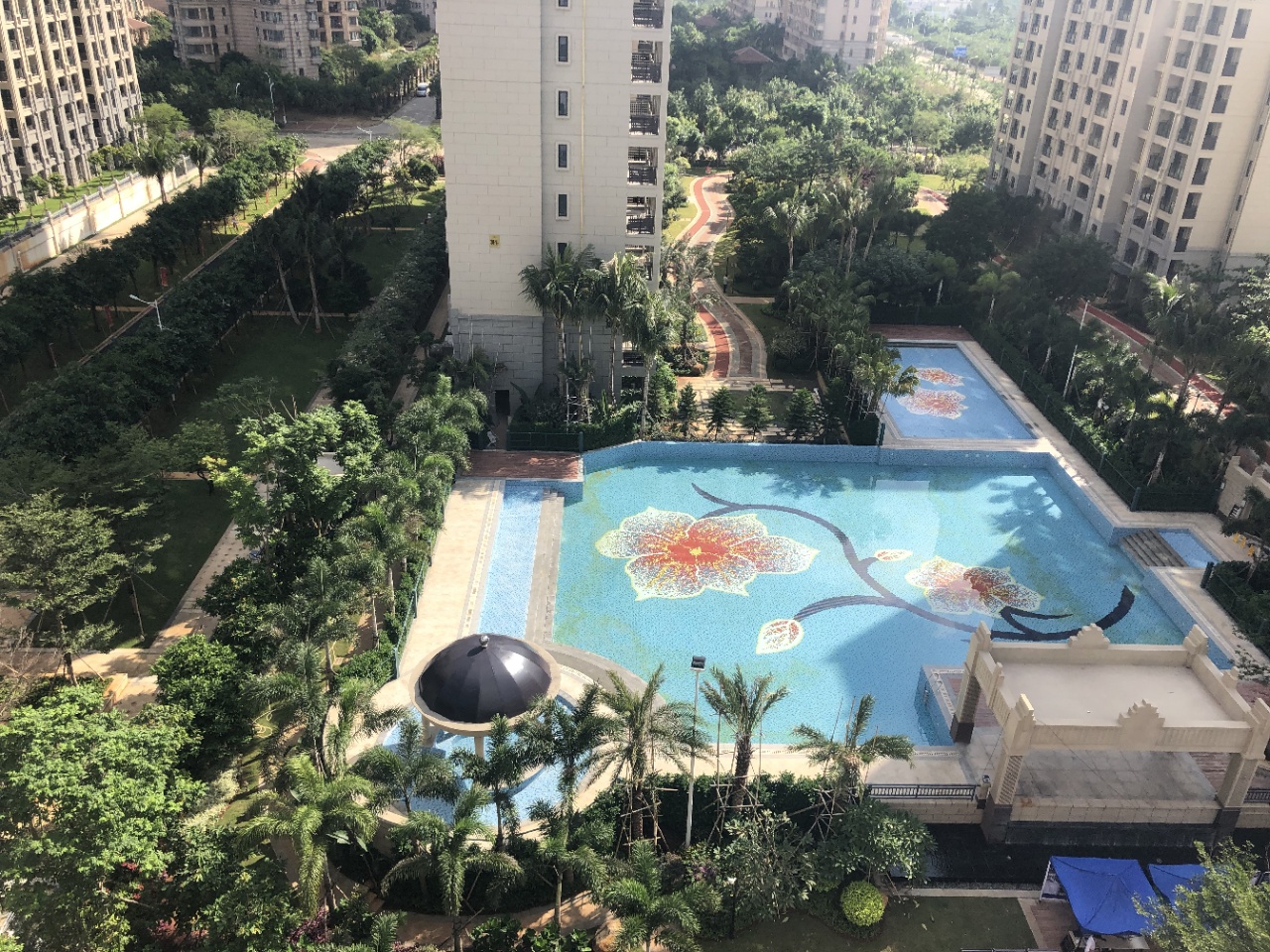 实景图