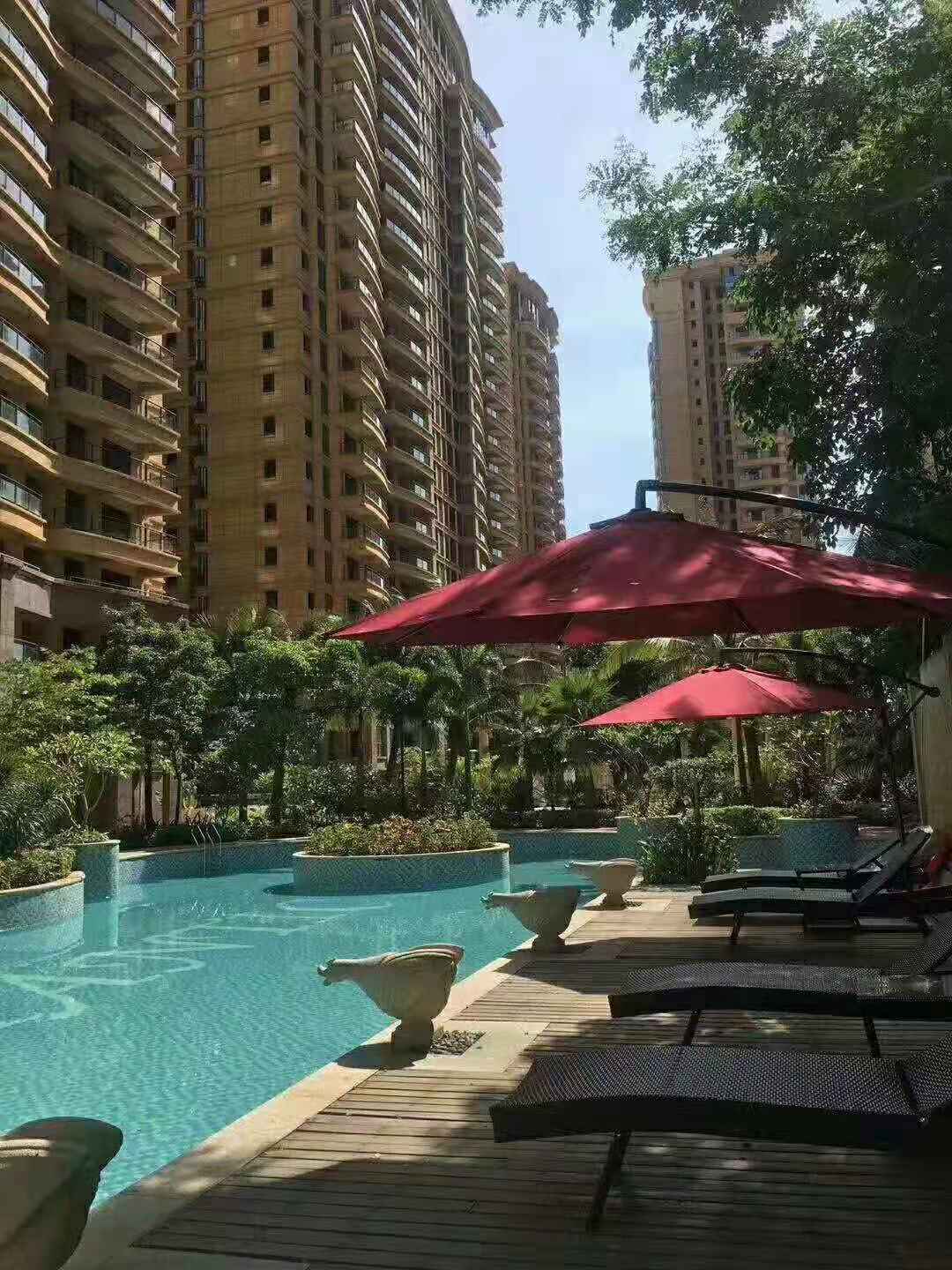 实景图