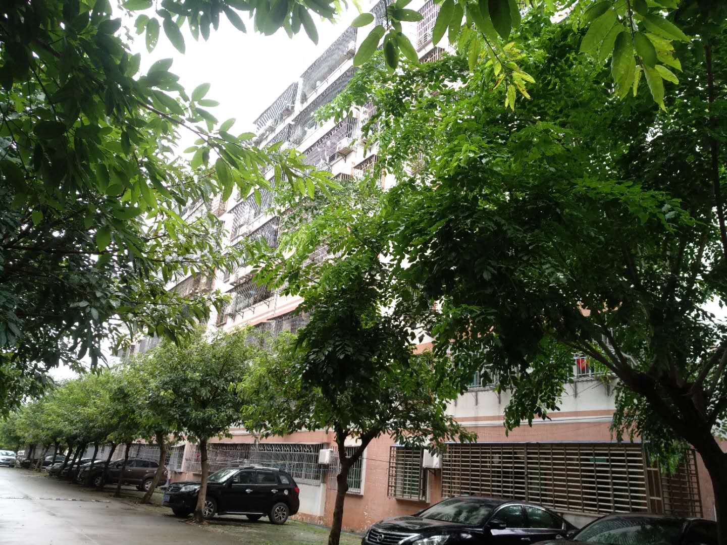 其它