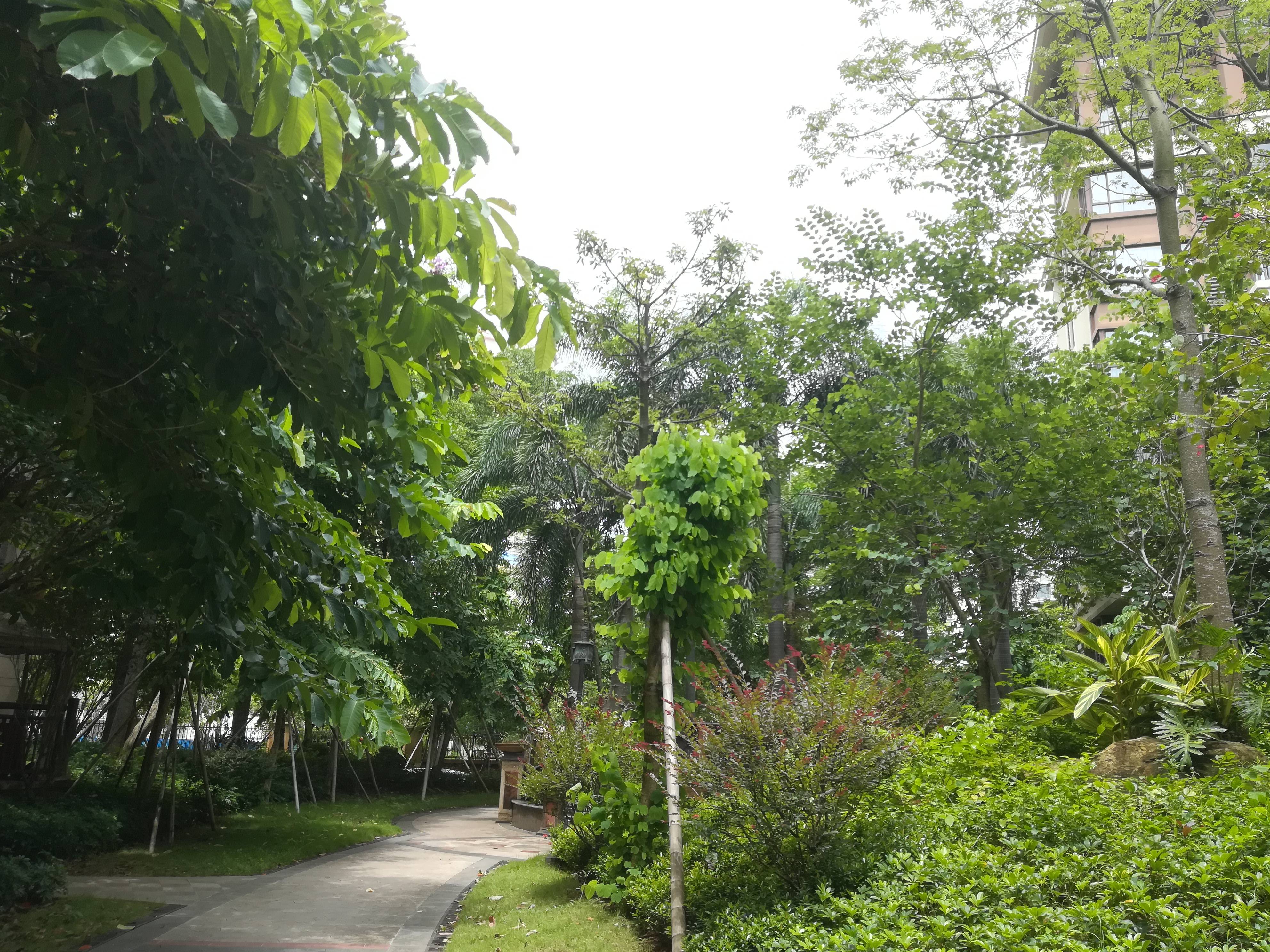 其它