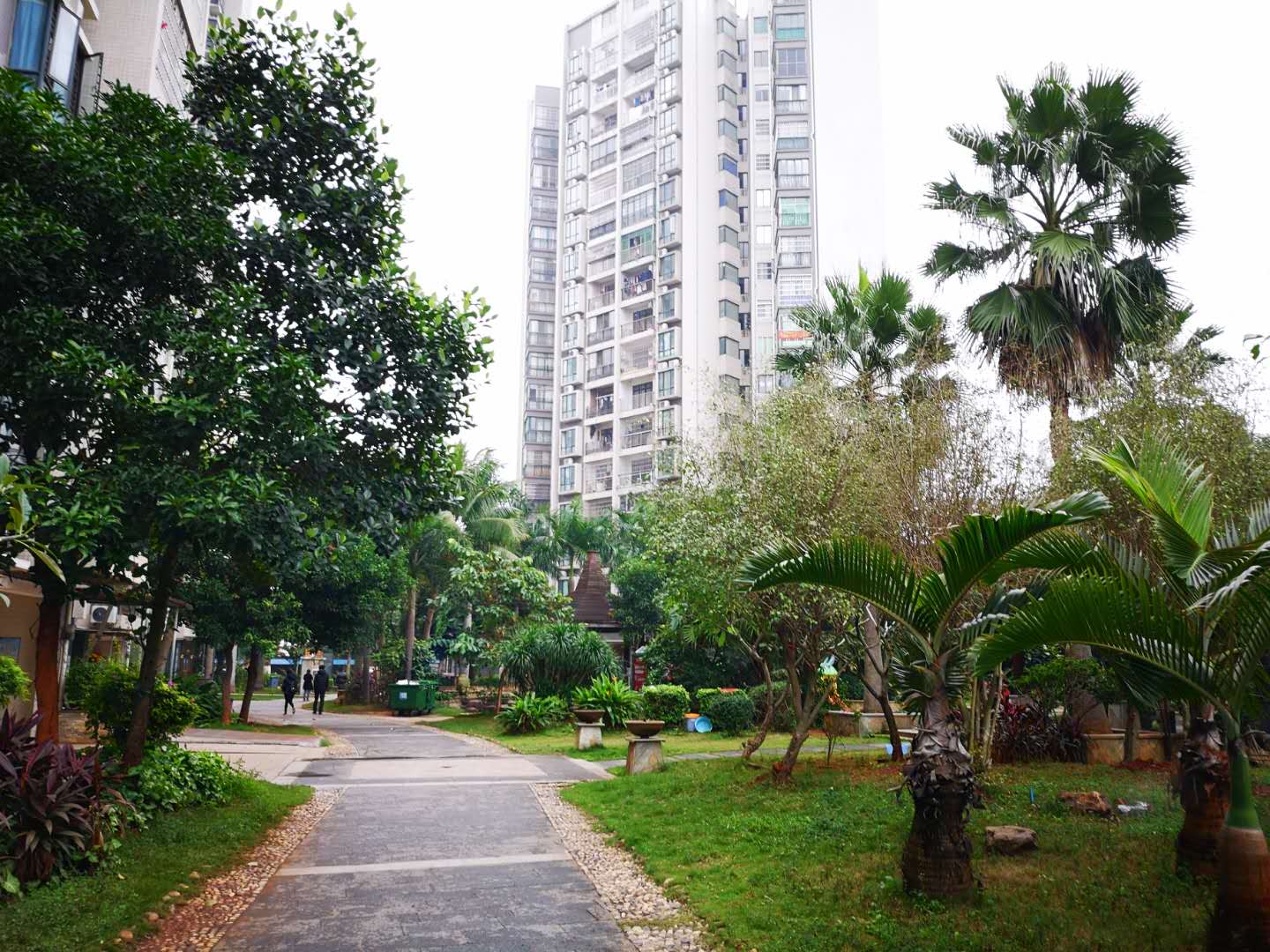 客厅1