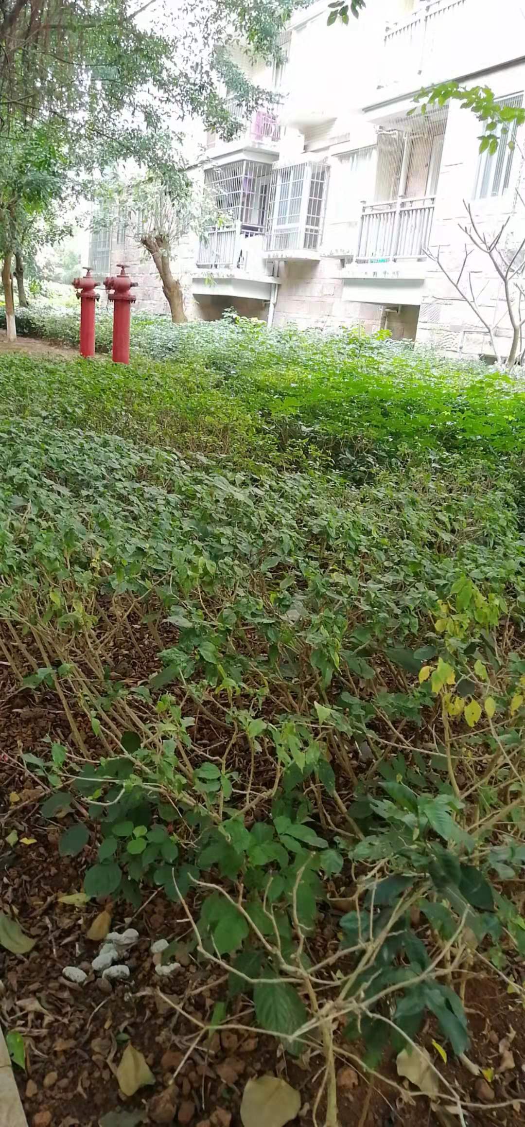 其它