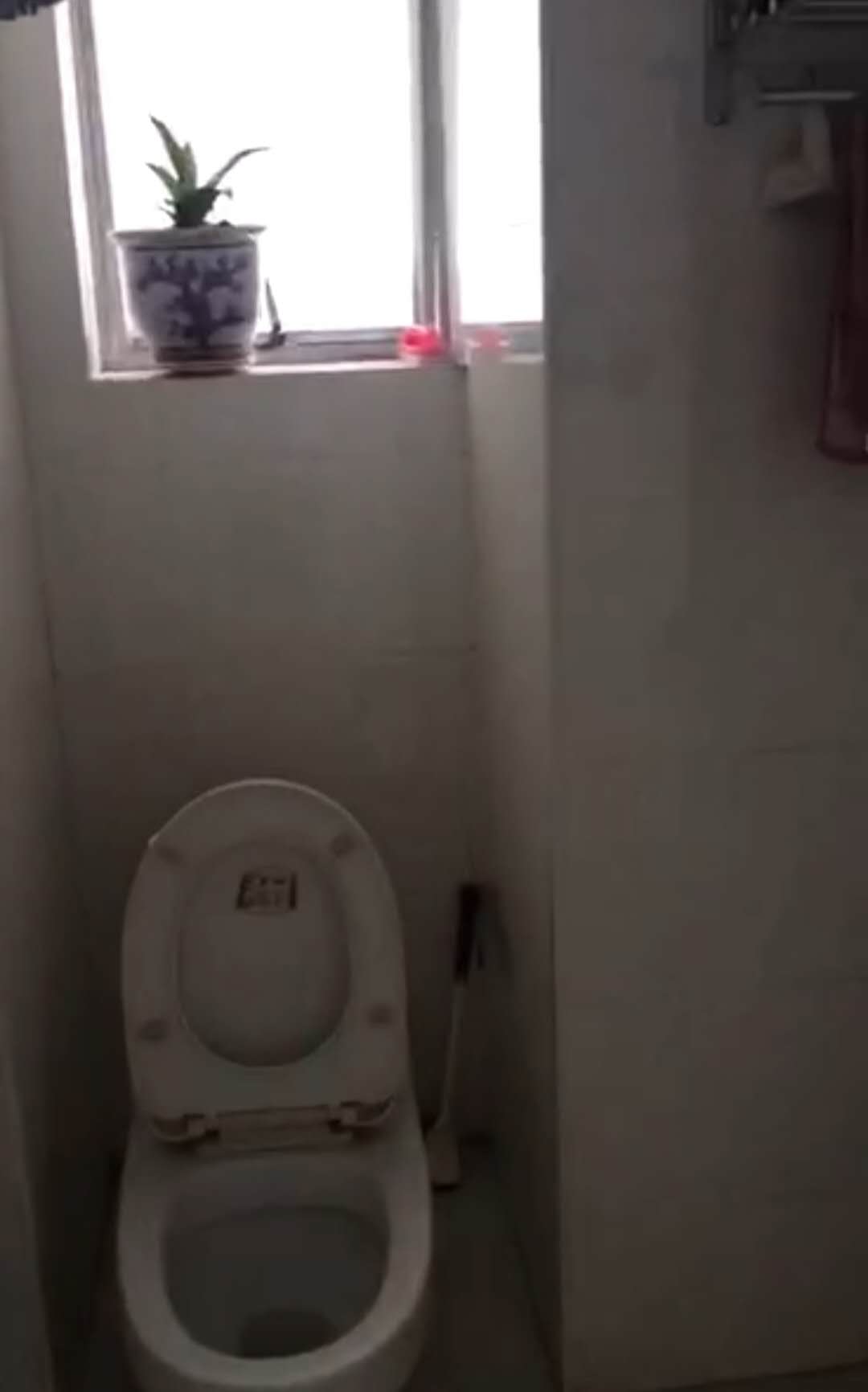 卫生间2