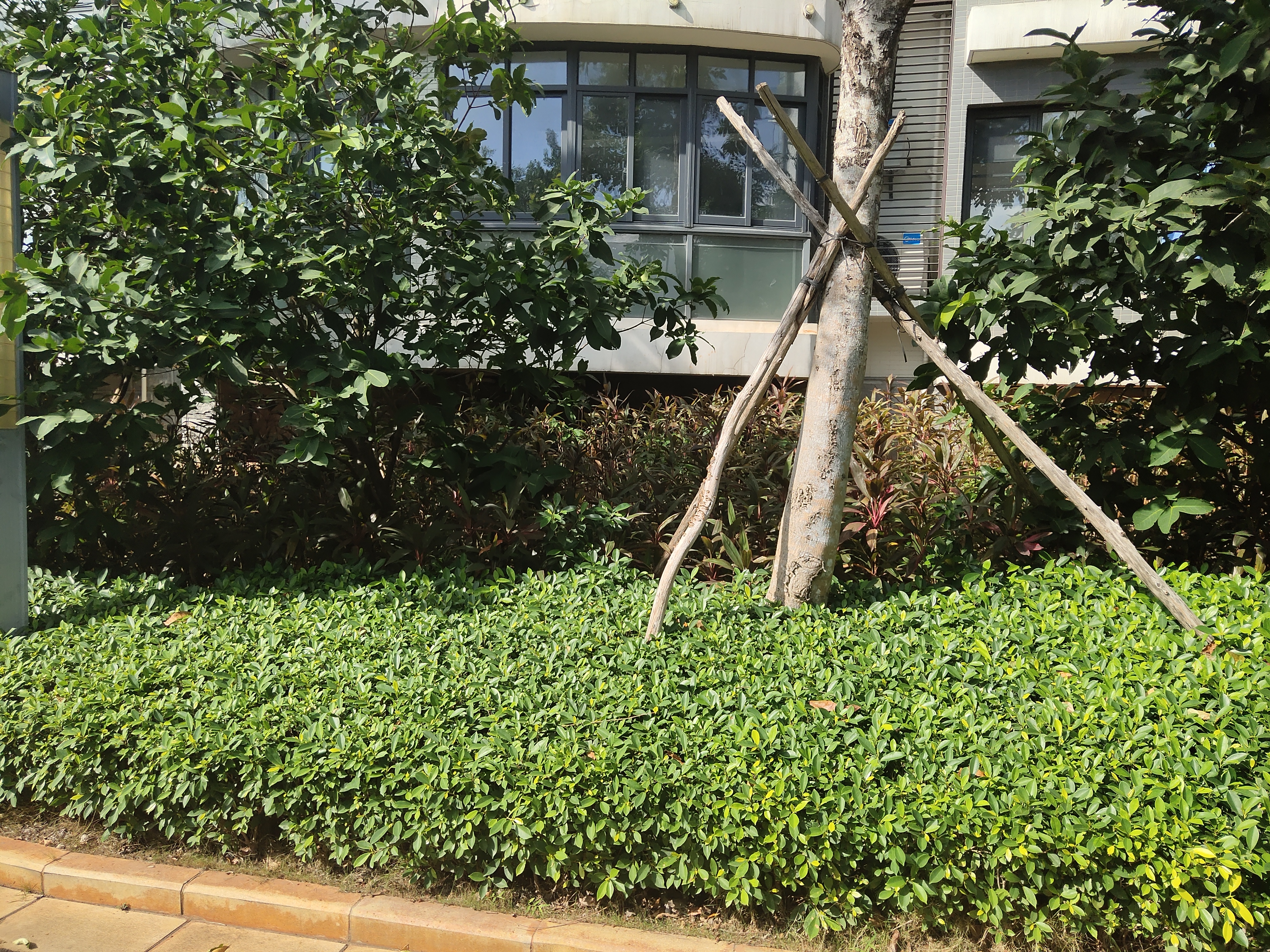 次卧1
