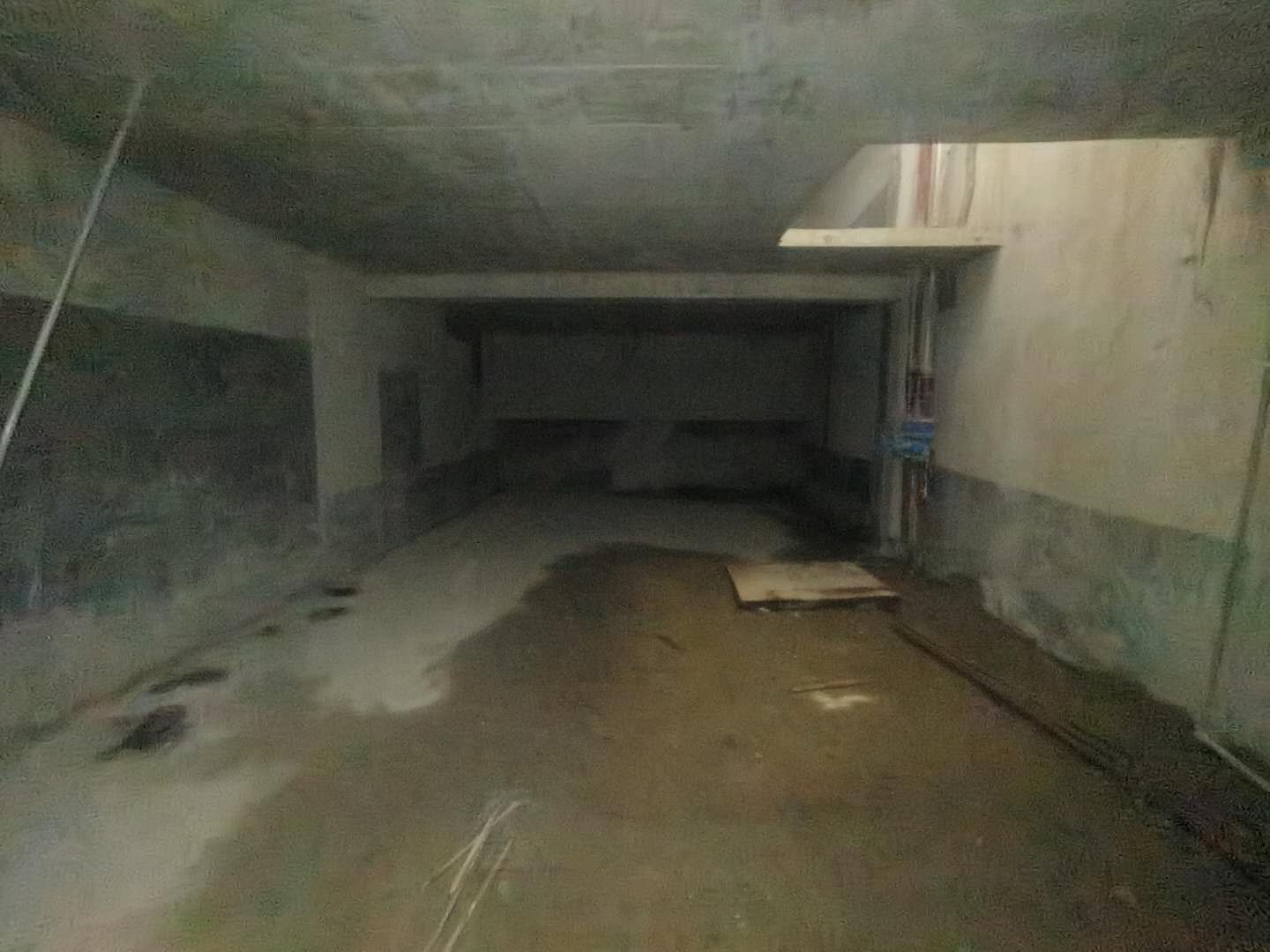 客厅3