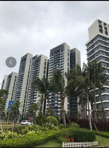 海口湾 保利中央海岸 1房1厅 各付税