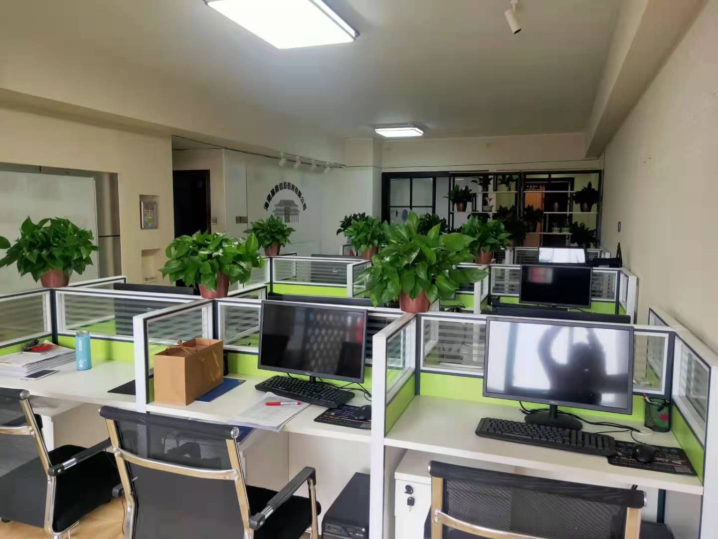 客厅2