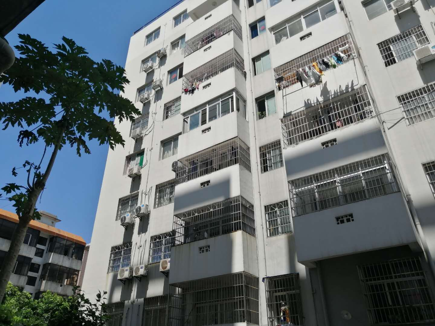 其它