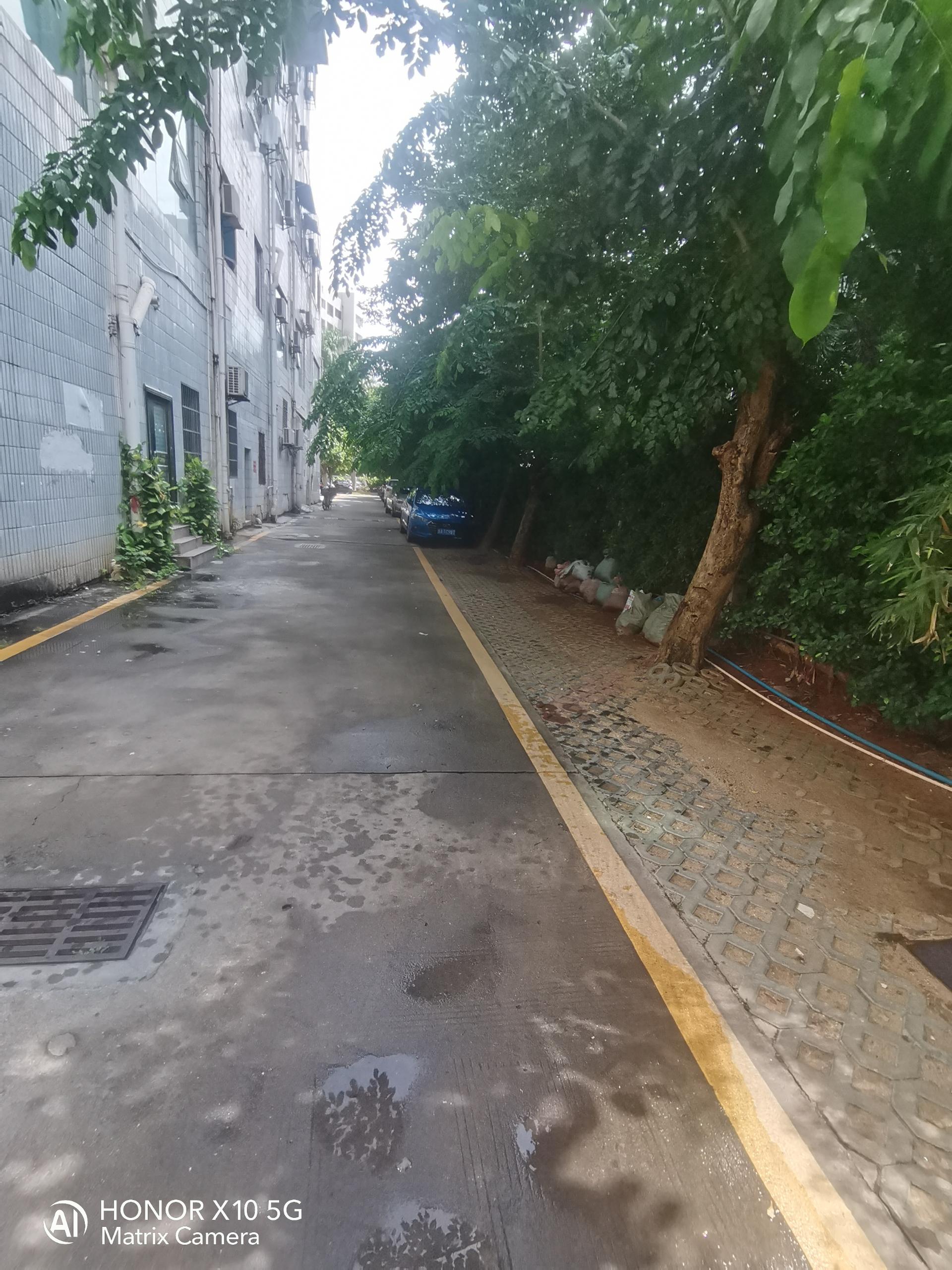 其它