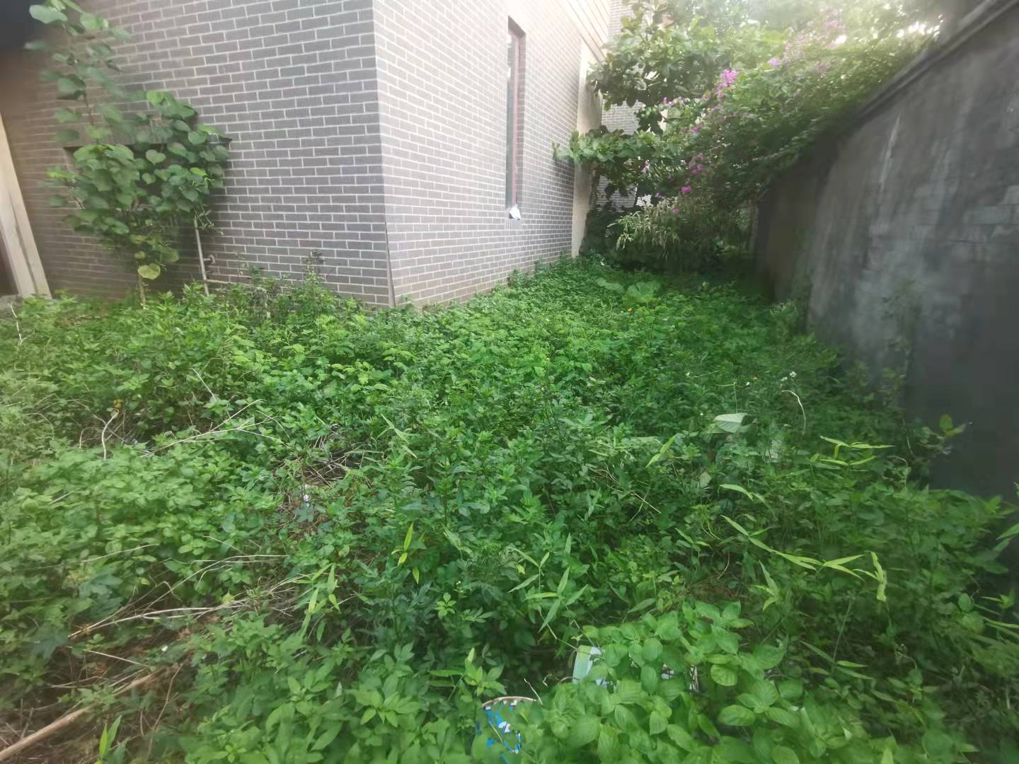 其它