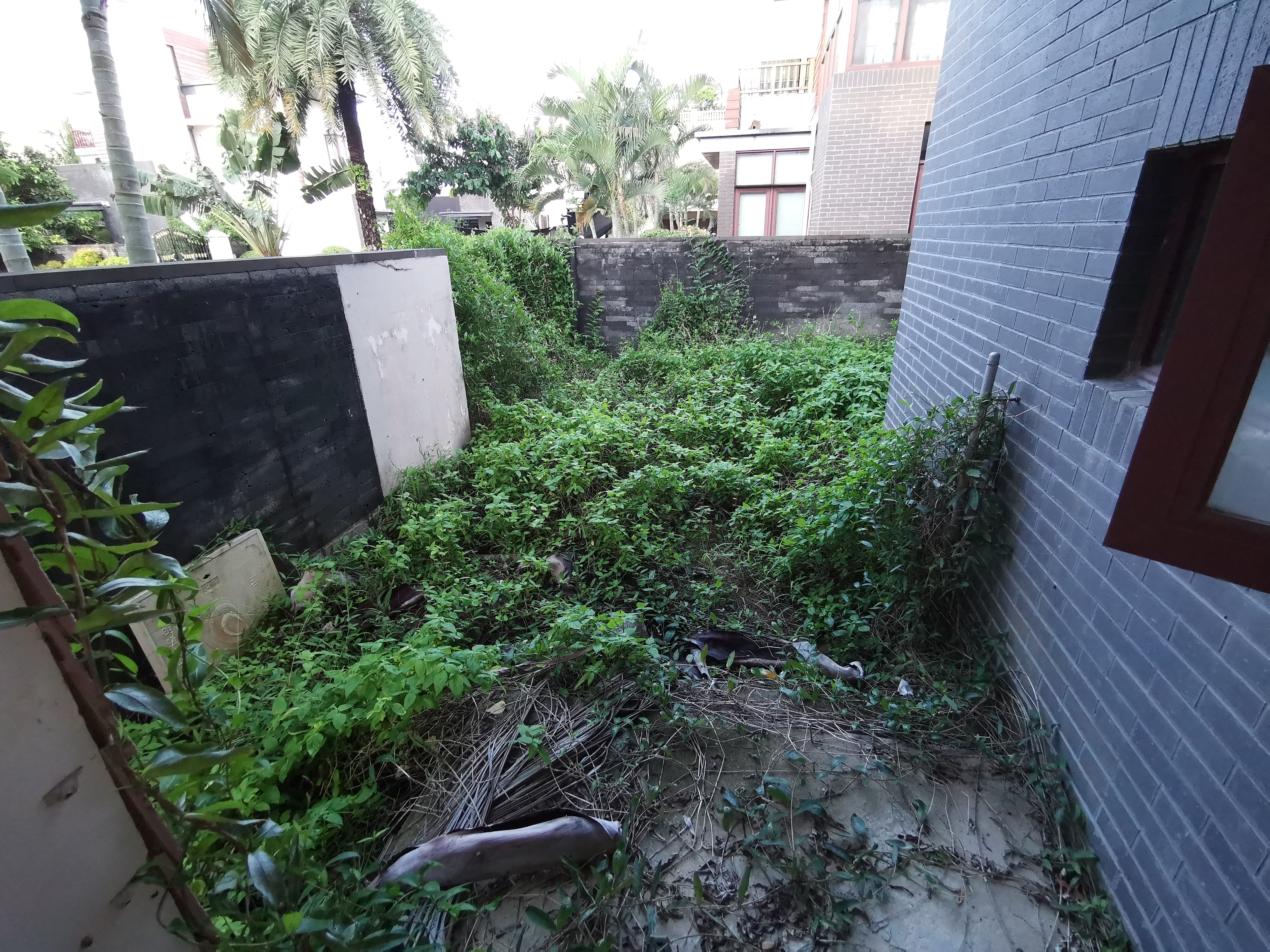 其它