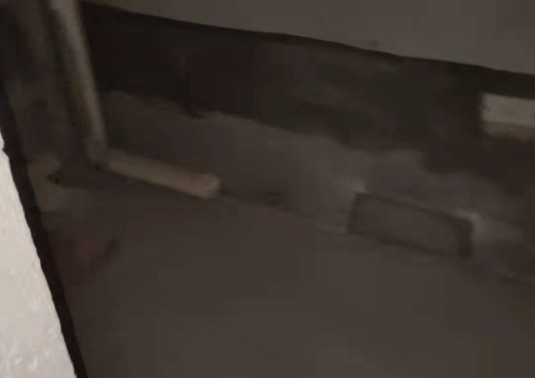 卫生间1