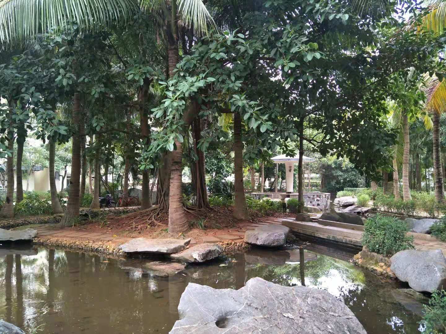 外景图