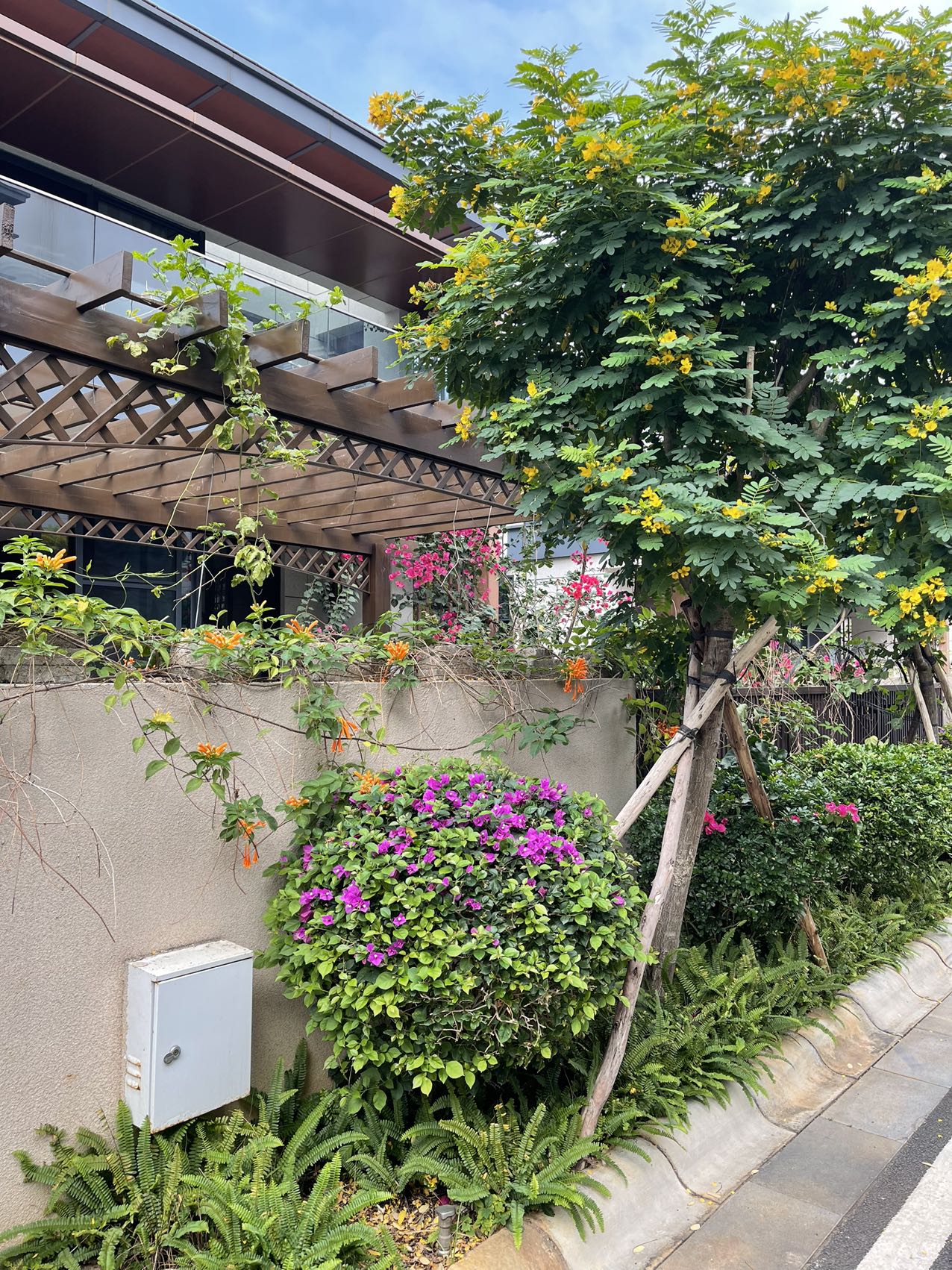 外景图