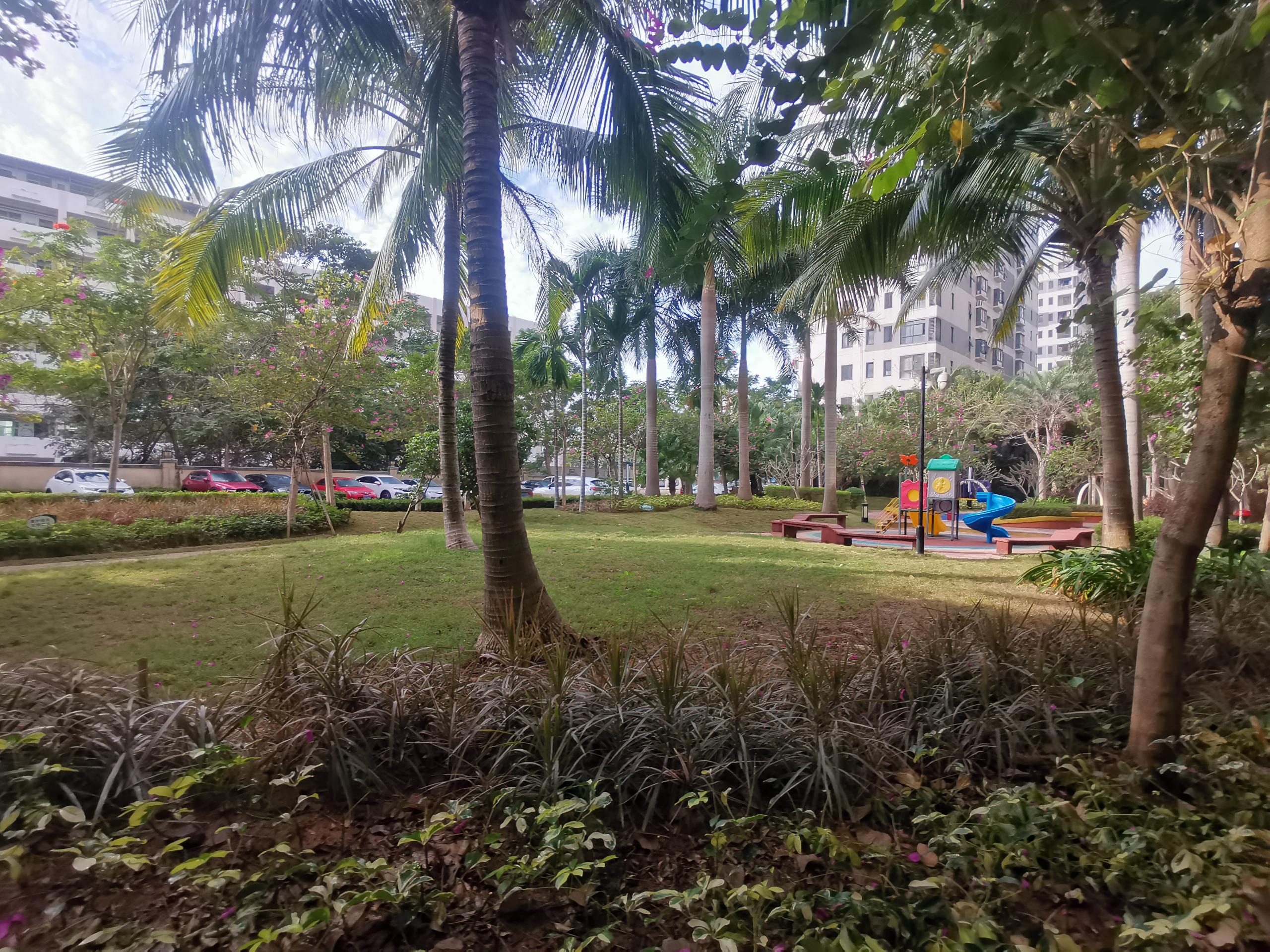 外景图