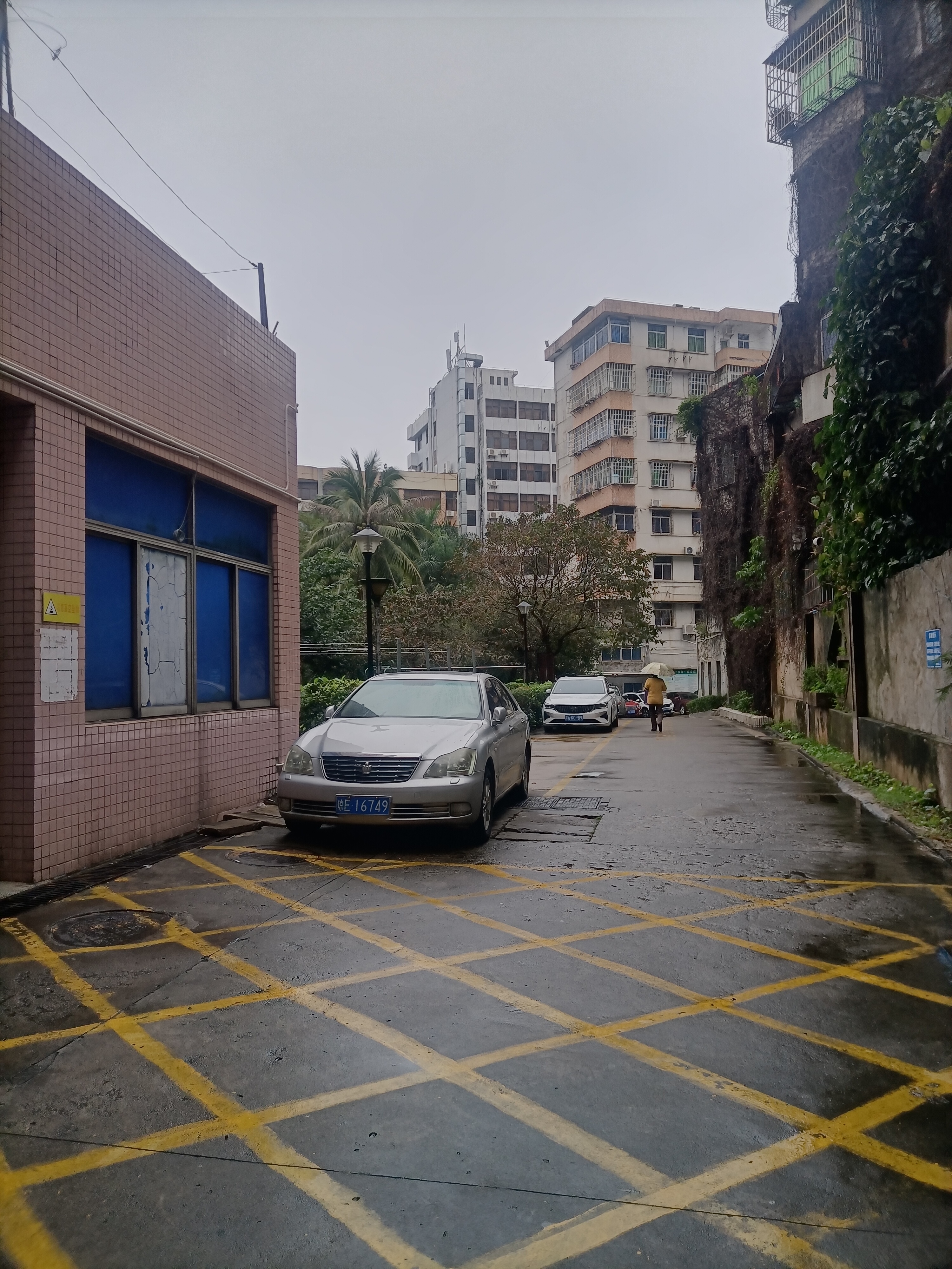 外景图