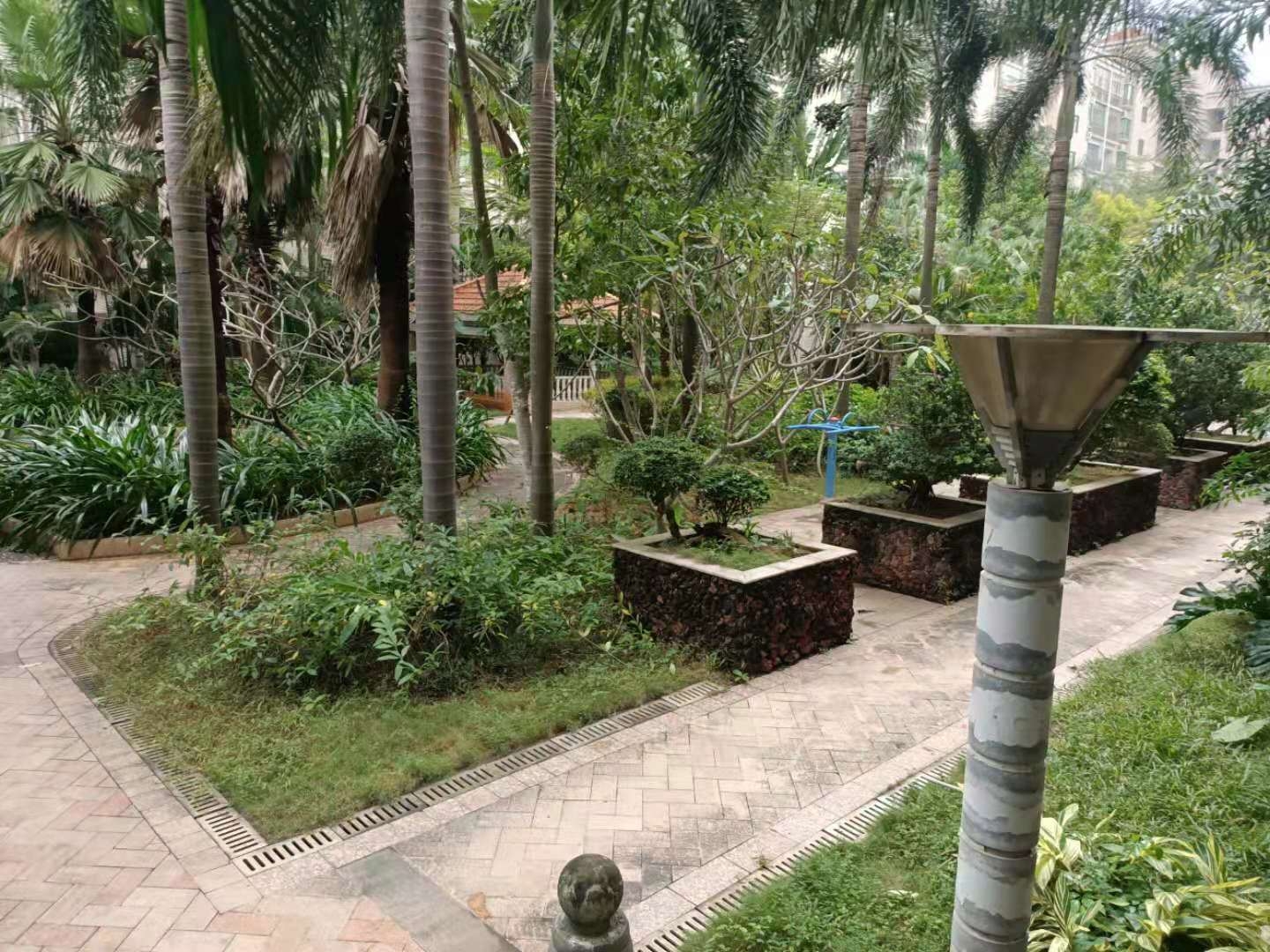 外景图