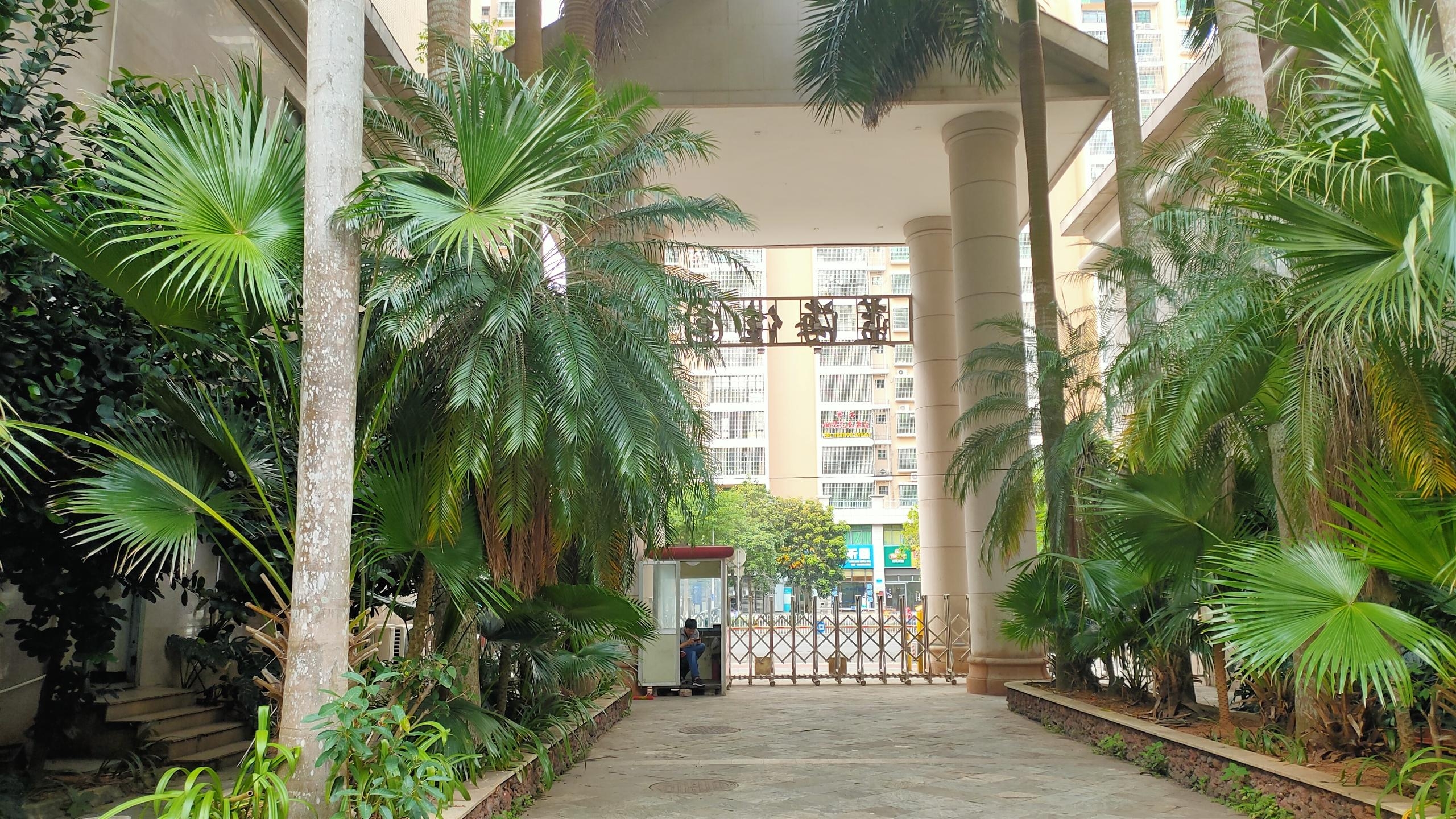 外景图