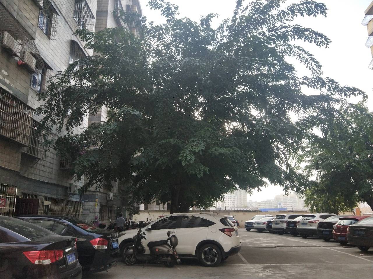 外景图