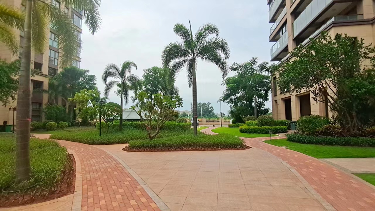 外景图