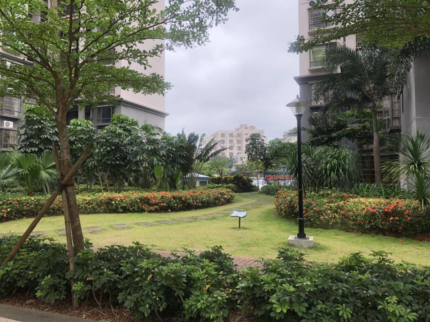 外景图