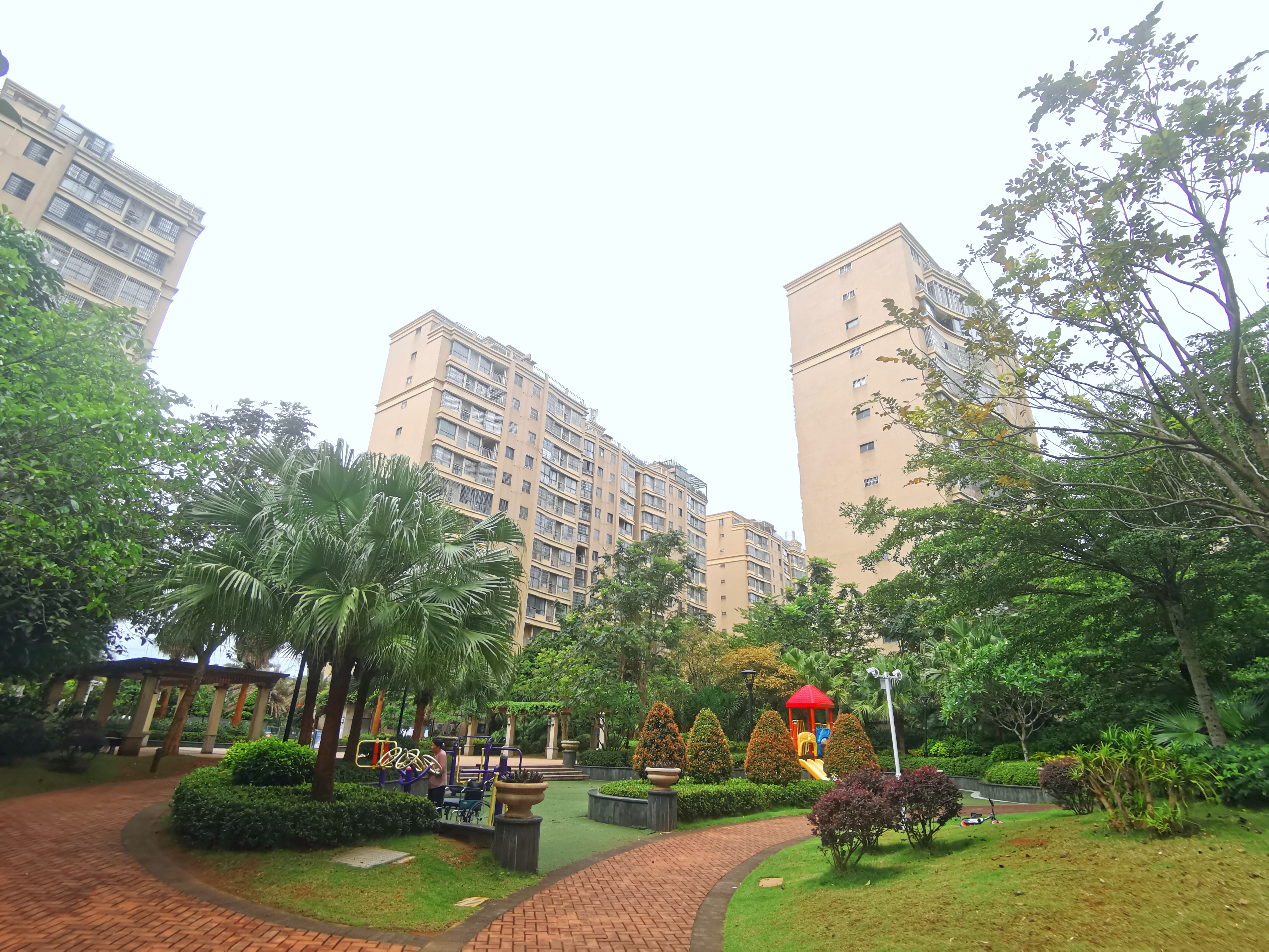 外景图