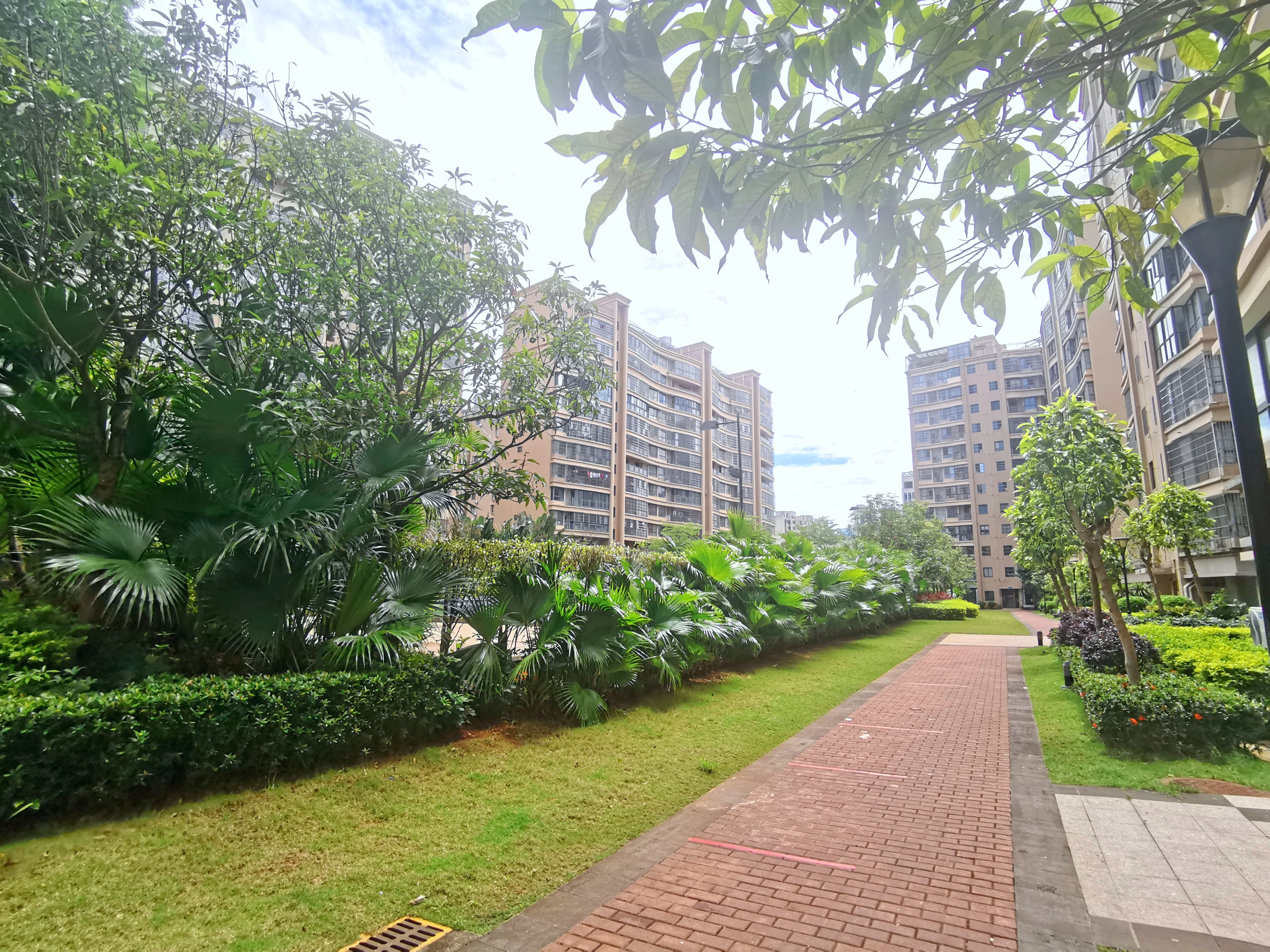 外景图