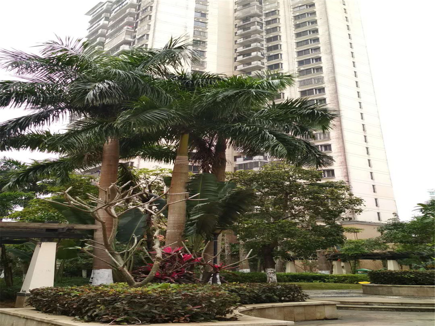 外景图