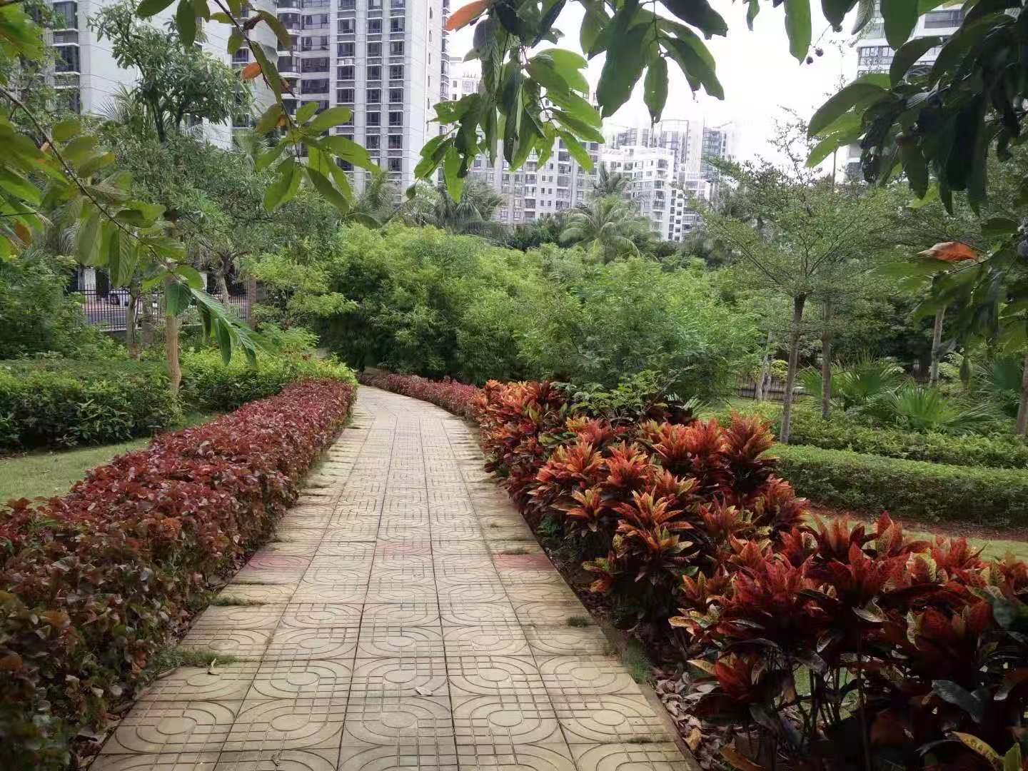 外景图