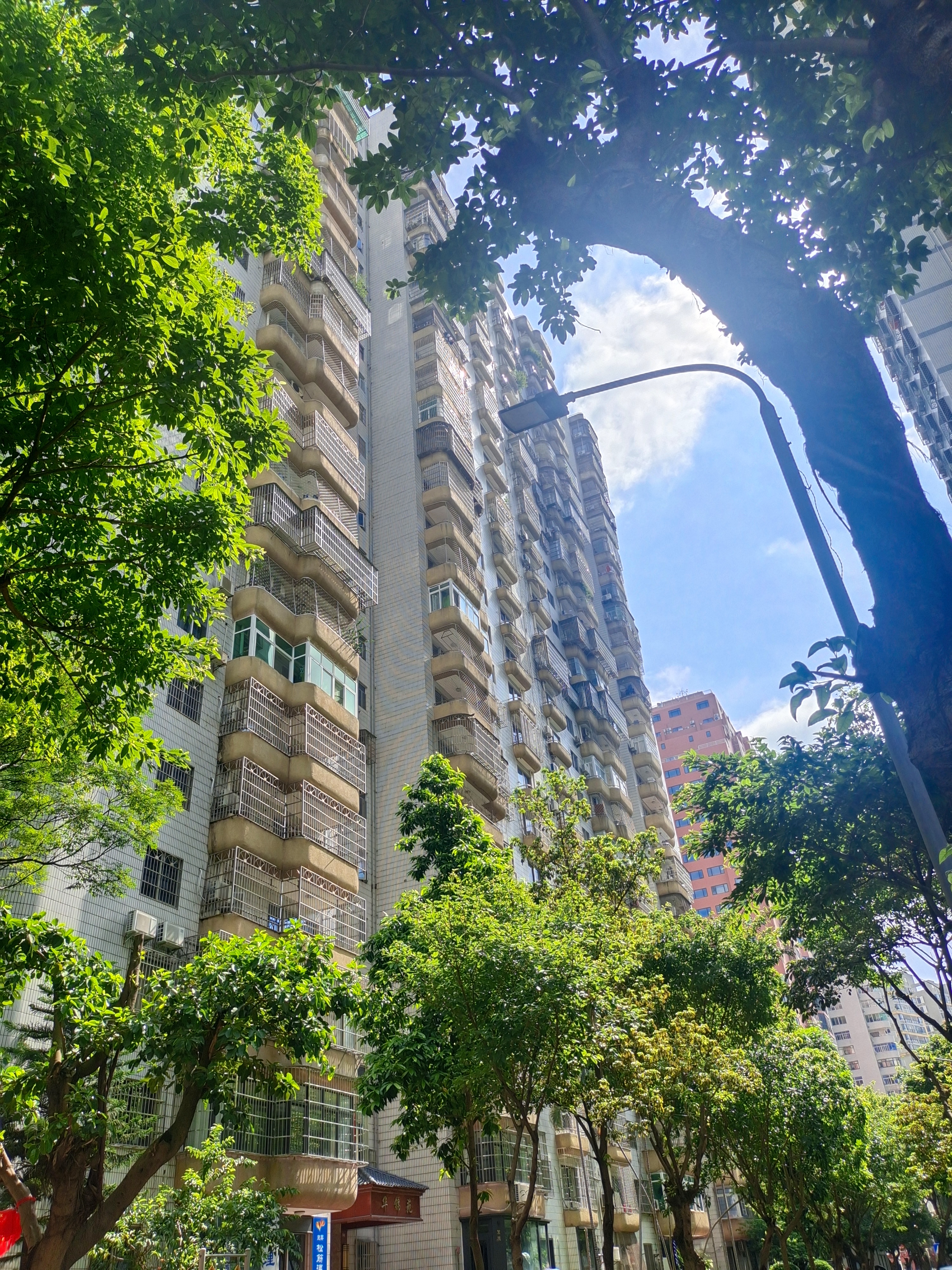 外景图