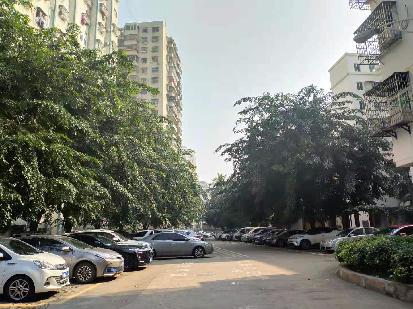 外景图