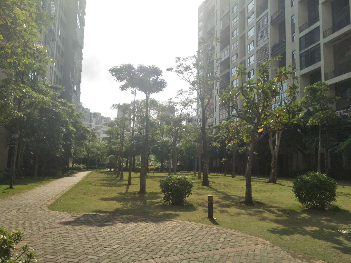 外景图