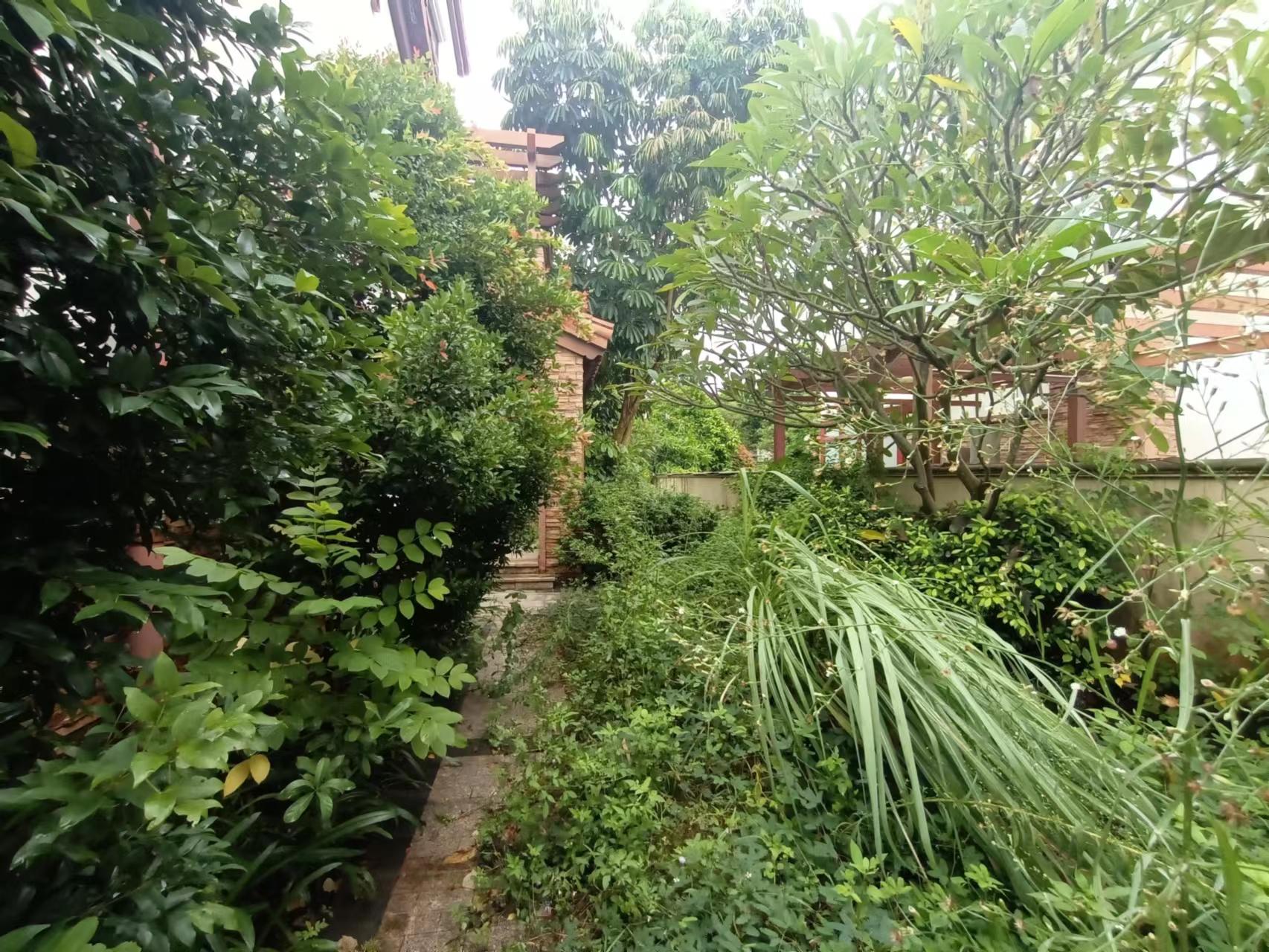 外景图