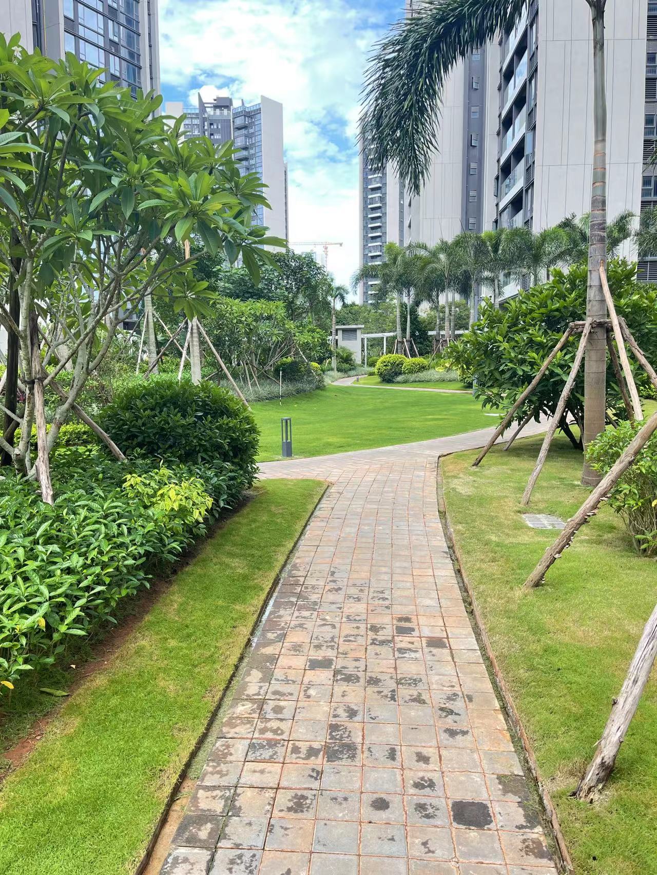 外景图