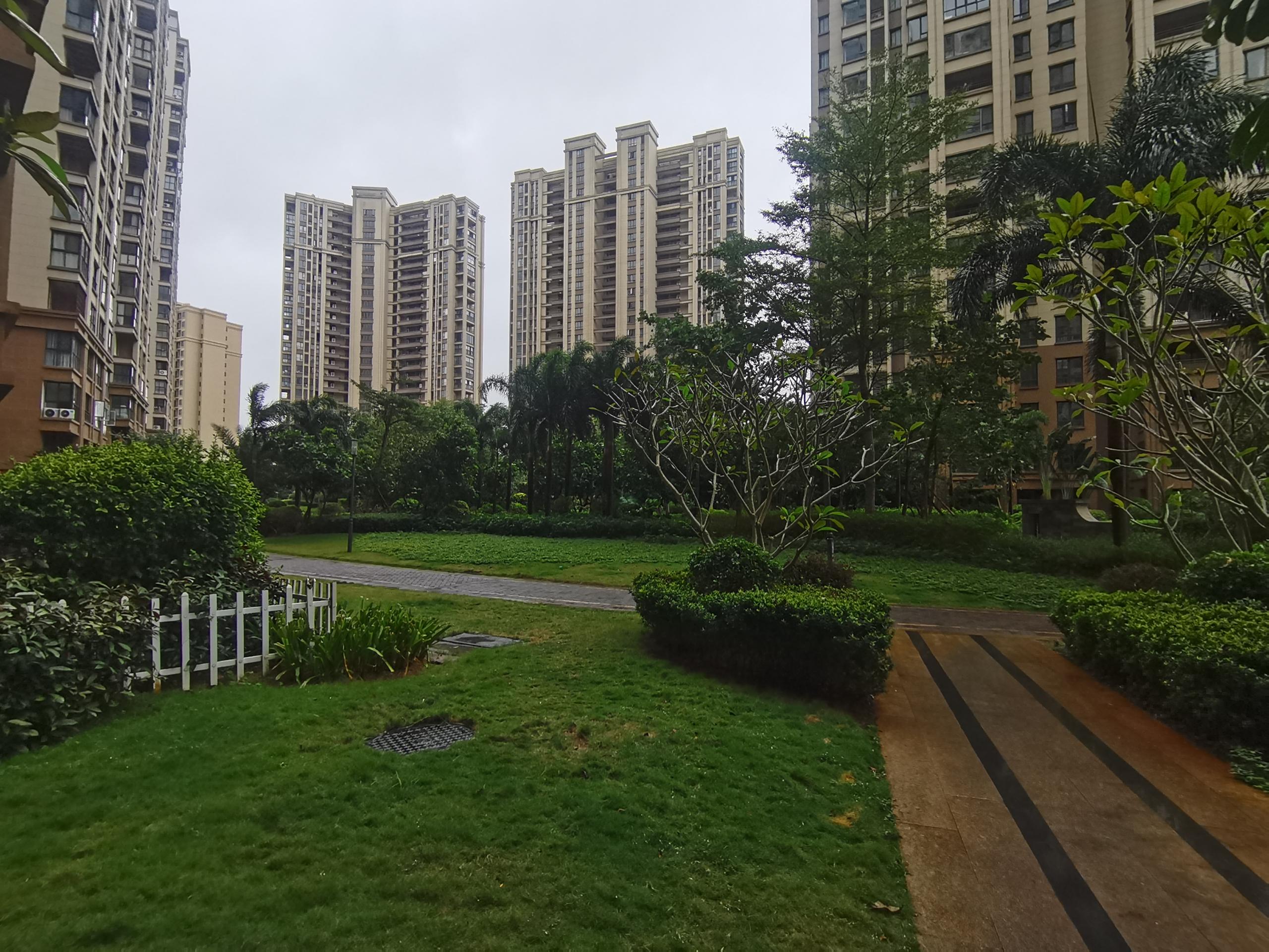 外景图