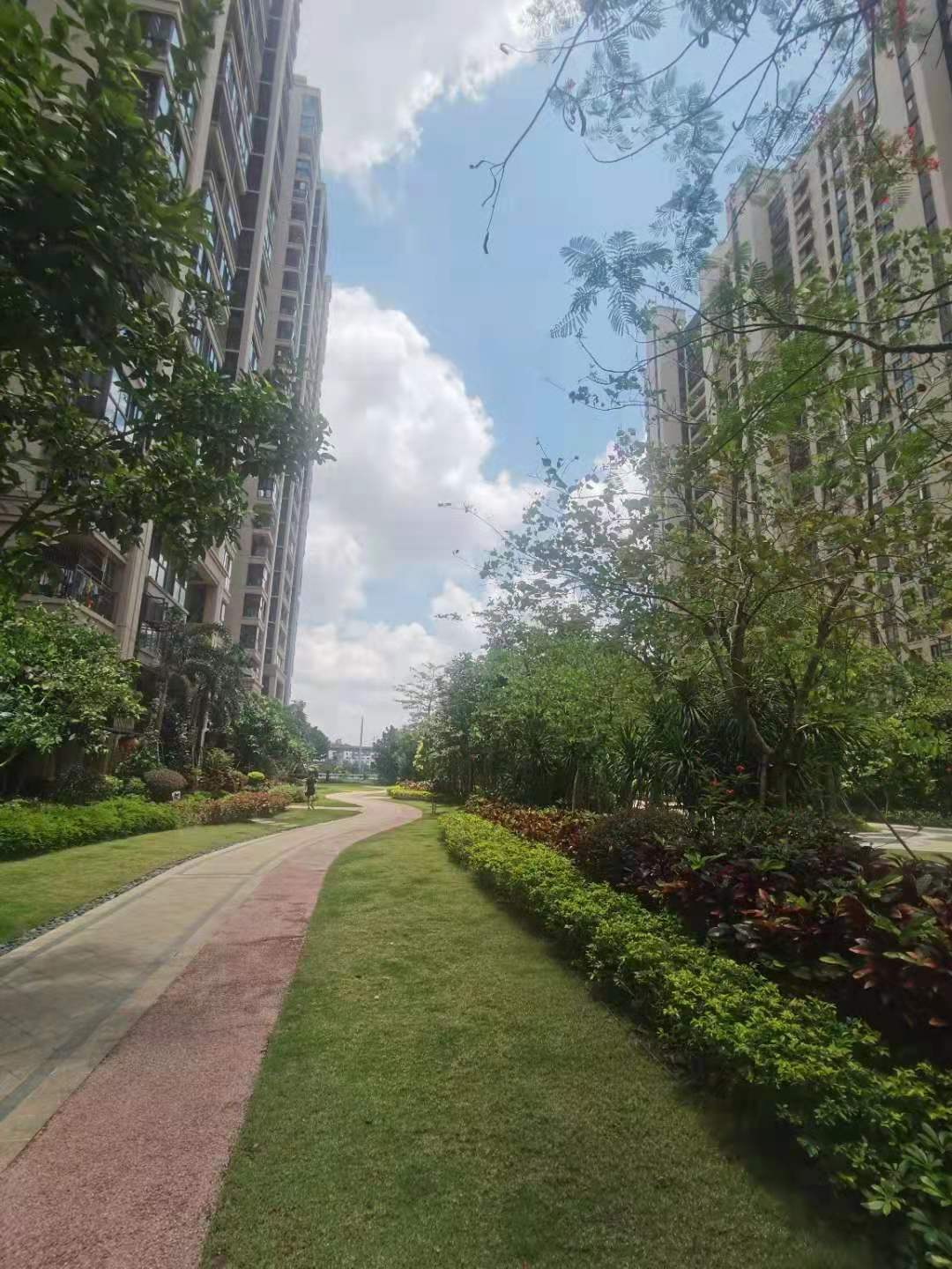 外景图