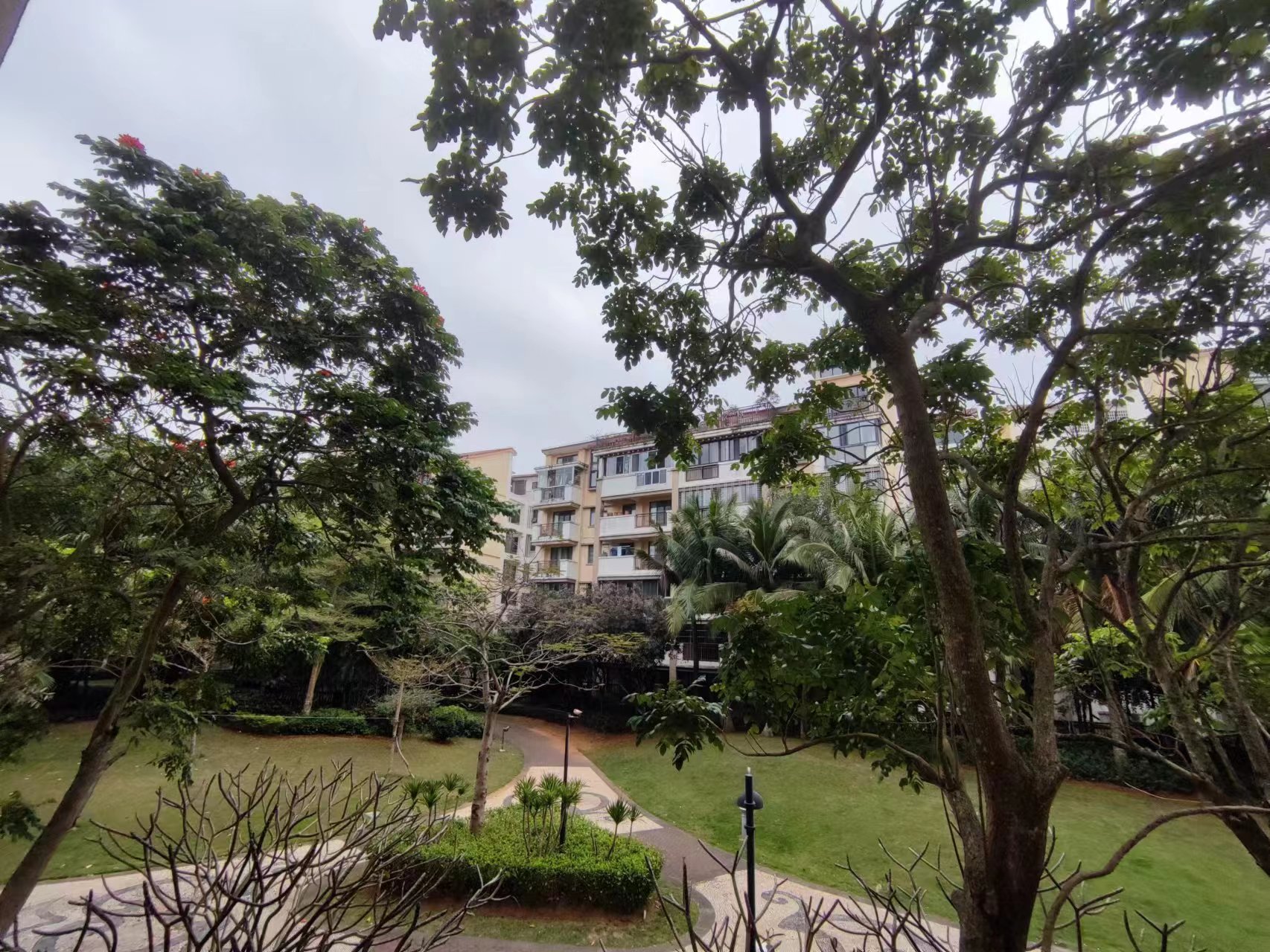 外景图