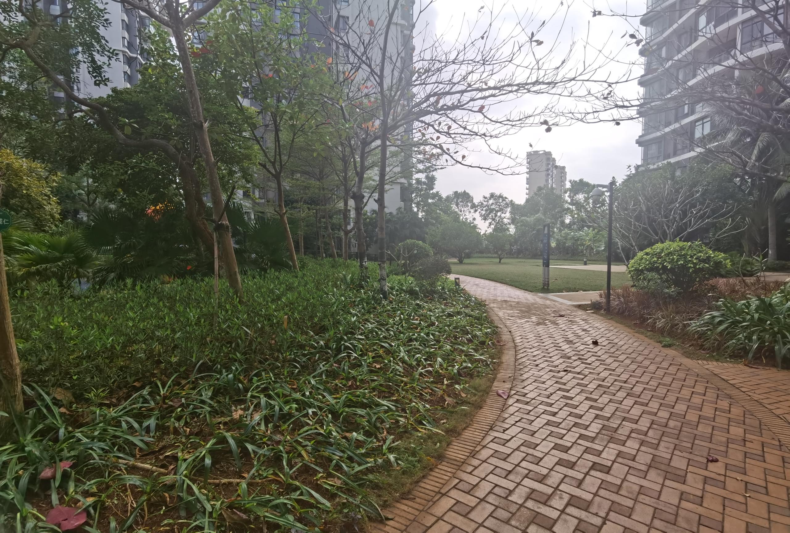 外景图