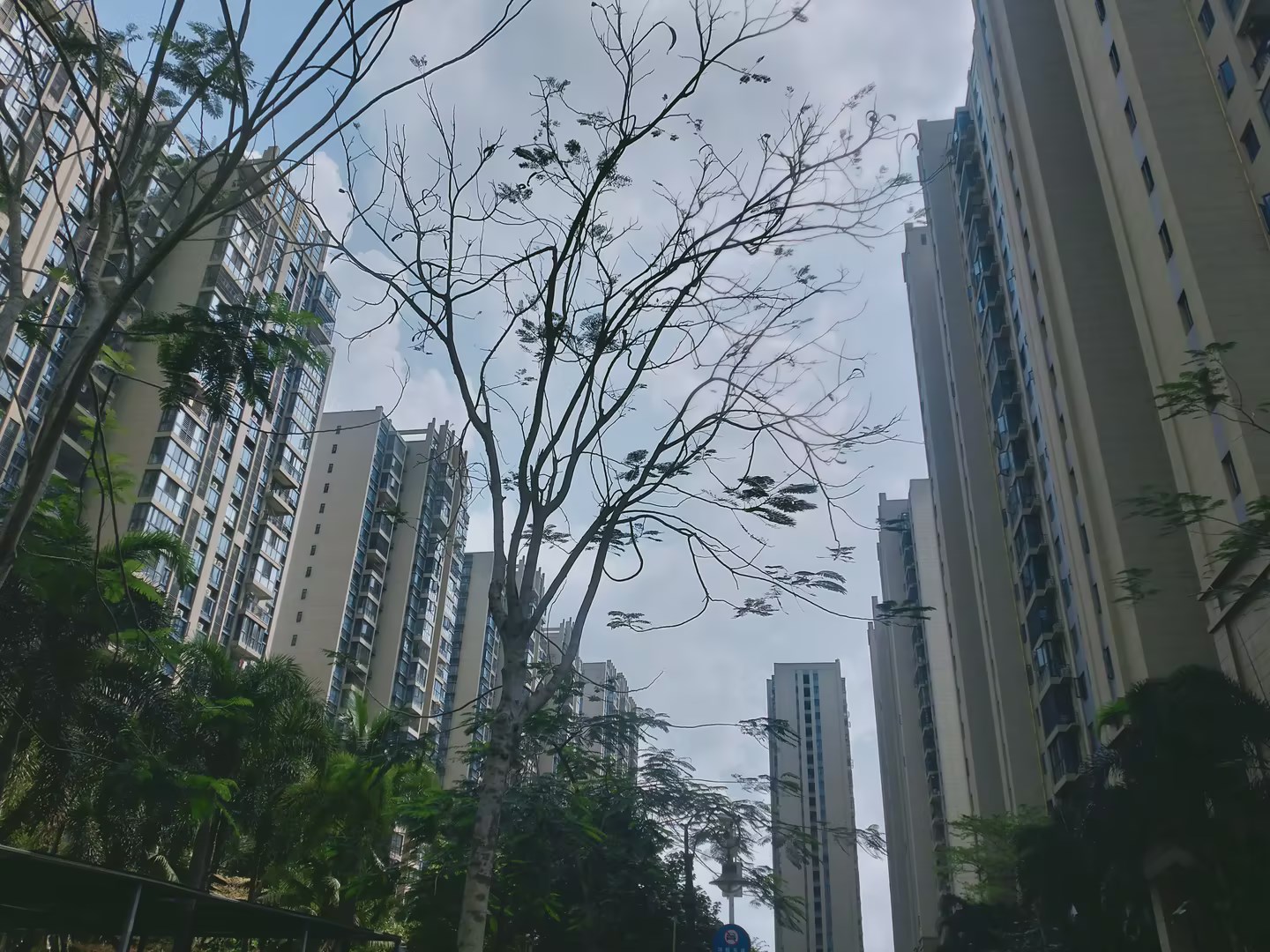 外景图