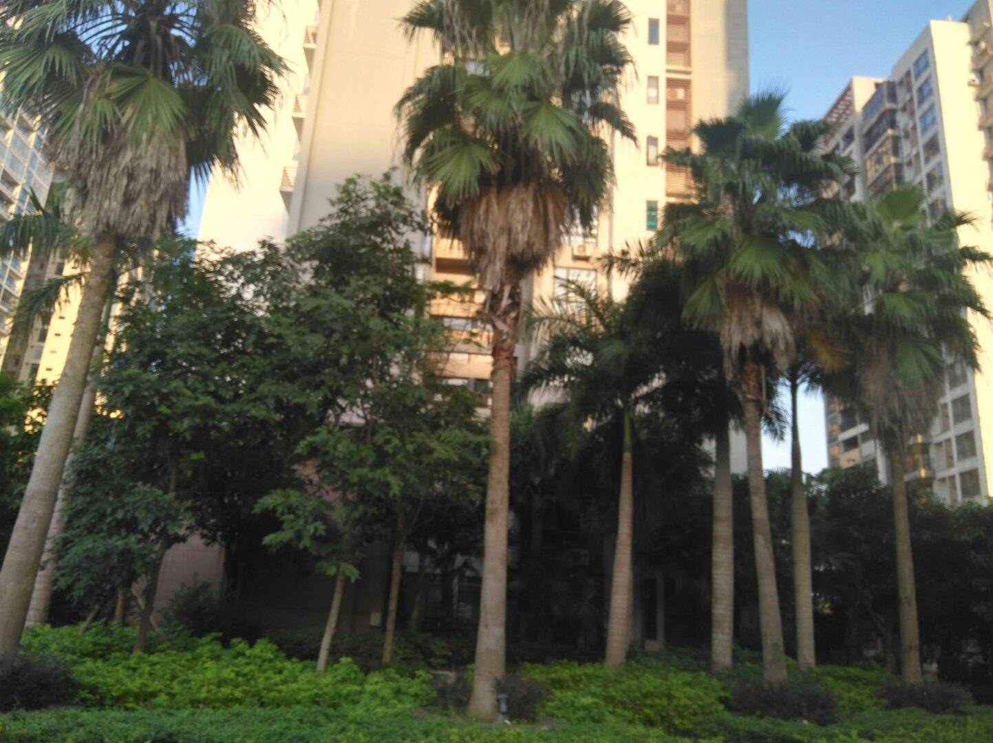 外景图