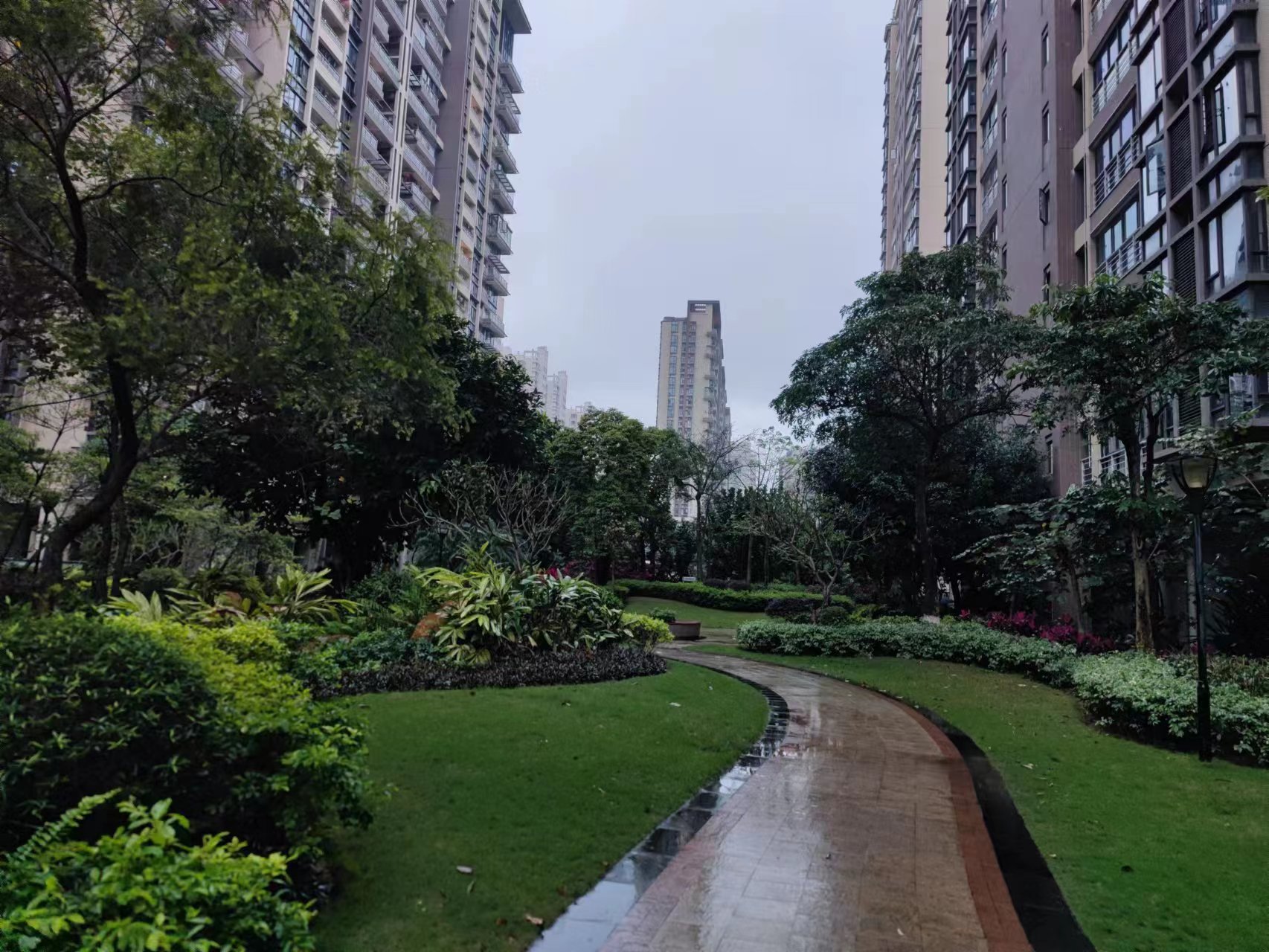 外景图
