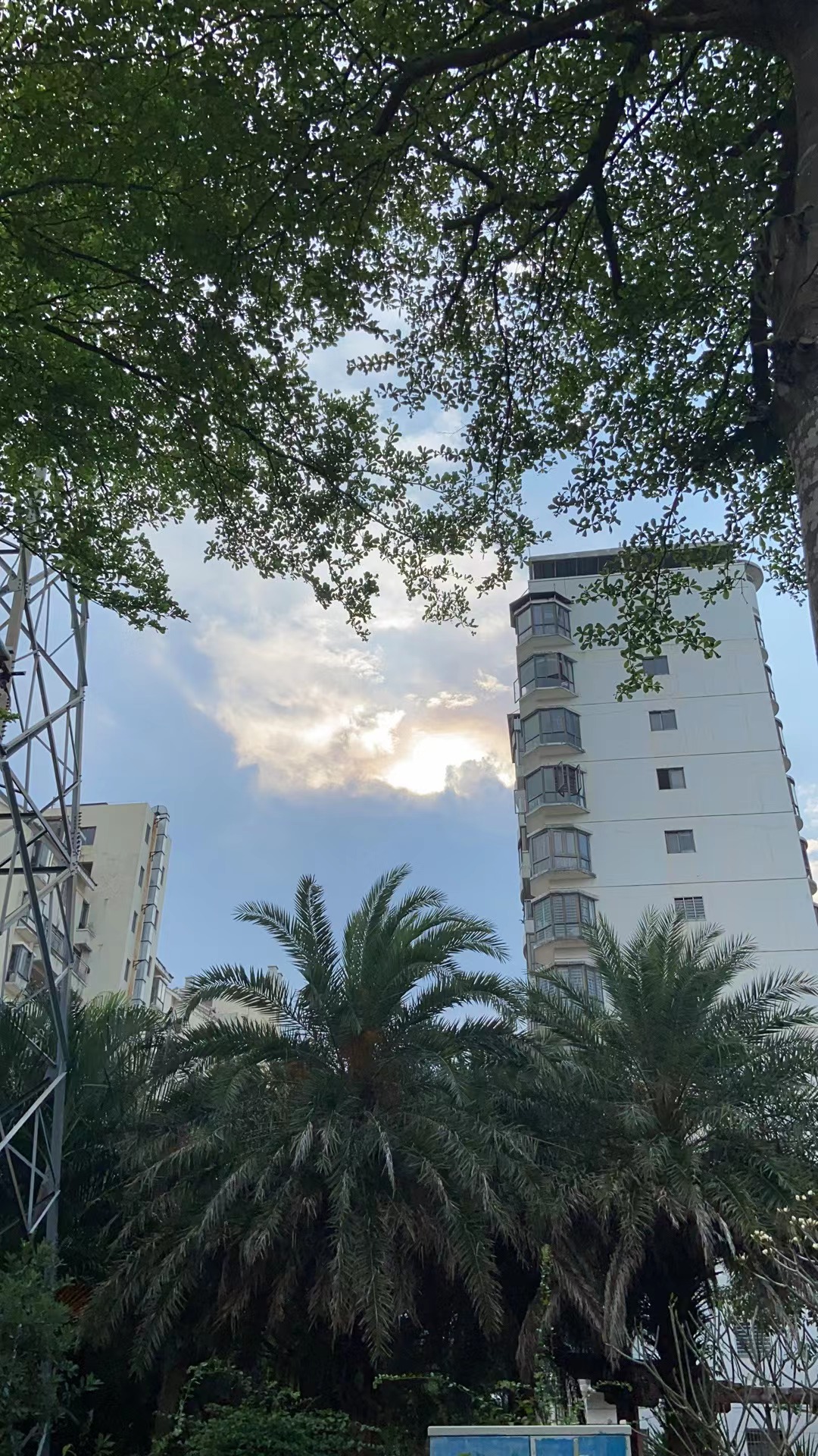 外景图