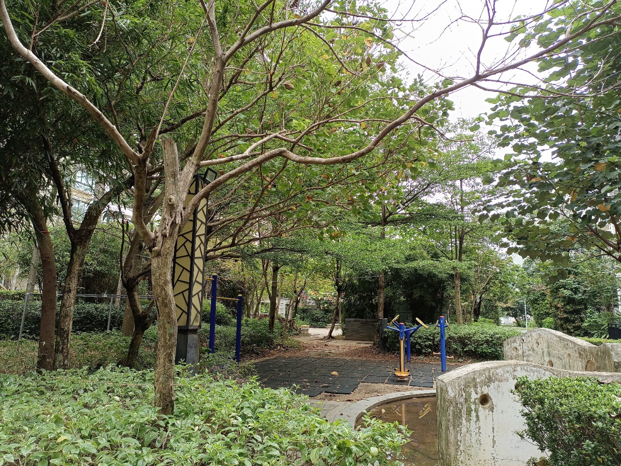 外景图